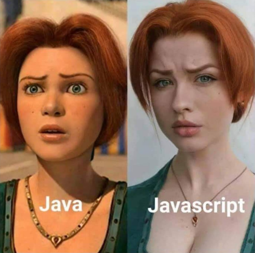 大佬说Java和Javascript的区别