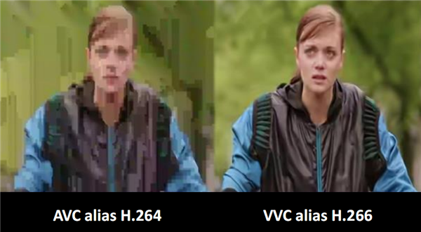 安谋科技发布首款本土自研“玲珑”DPU!新一代“玲珑”VPU首批支持H.266