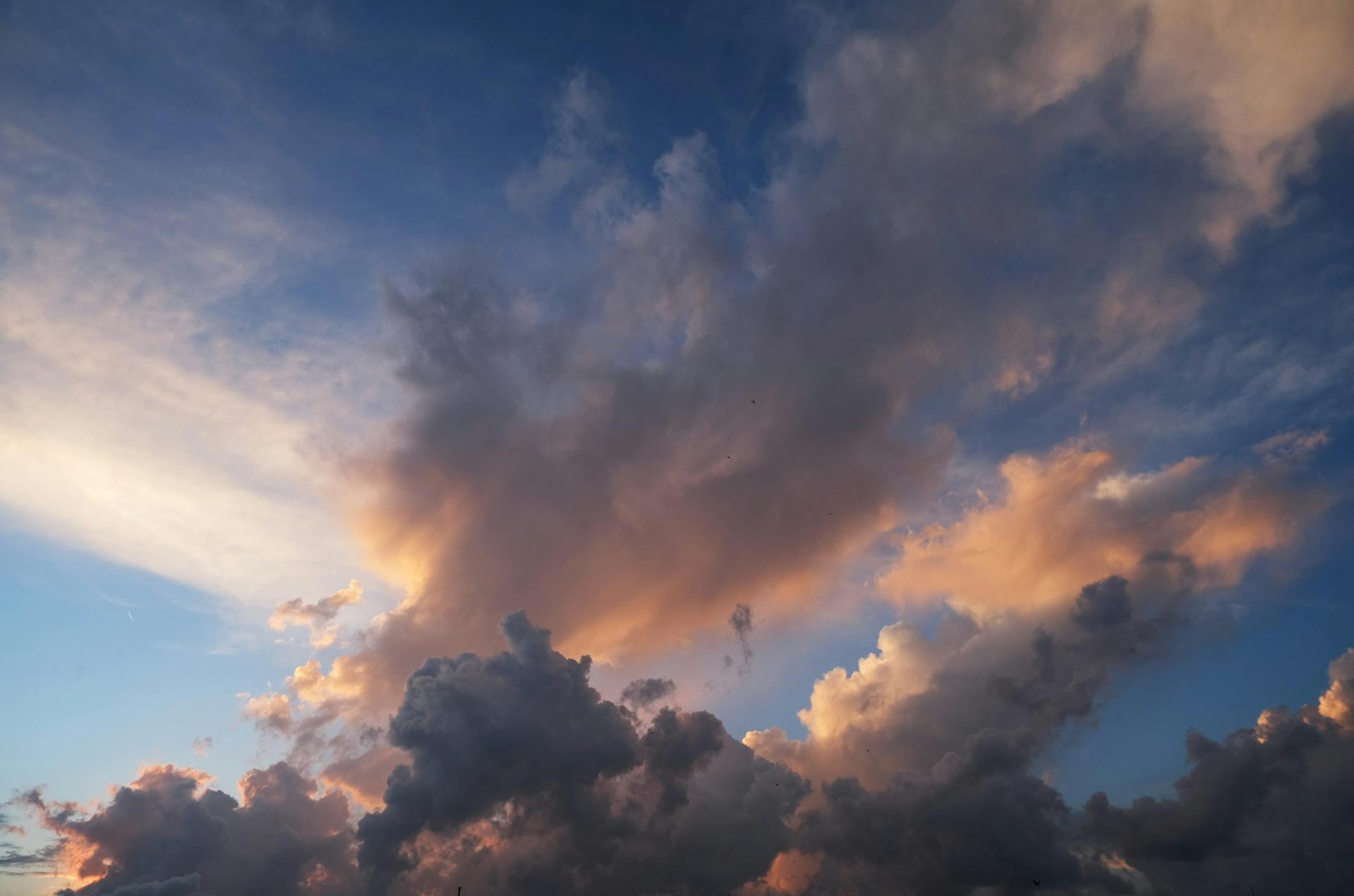 开源美图 2024 10 20