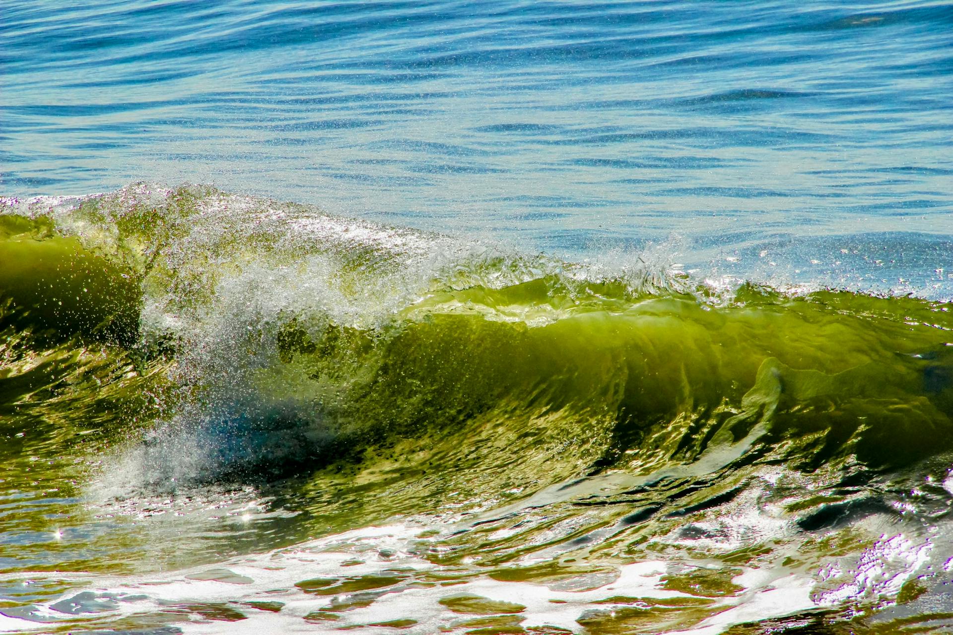 开源美图 2024 11 05