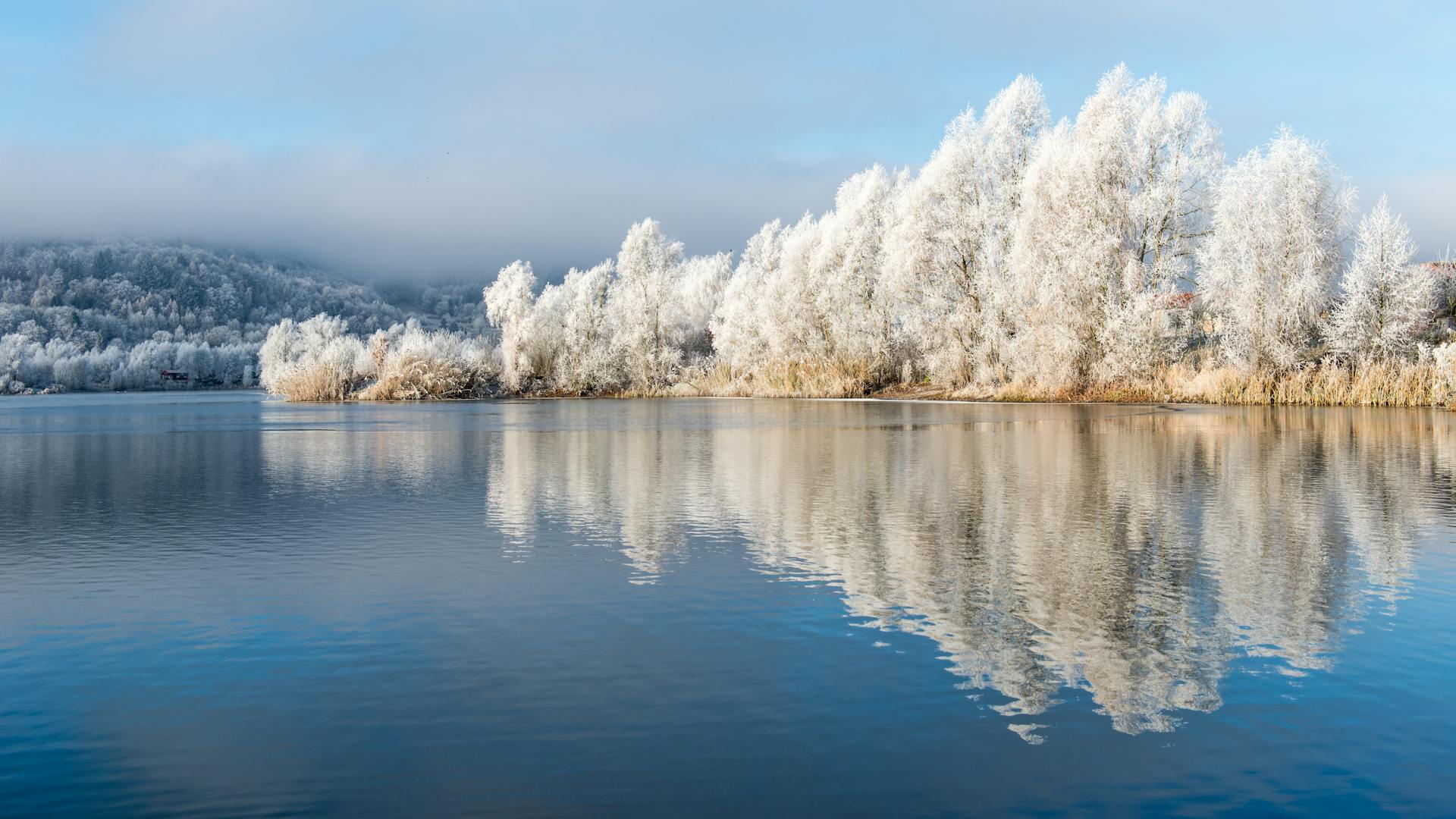 开源美图 2024 11 21