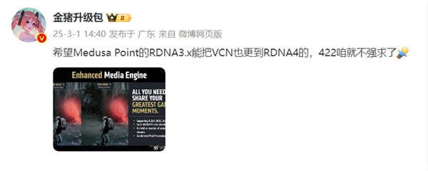 AMD下代Zen6 APU用不上RDNA 4了!还是RDNA 3.X