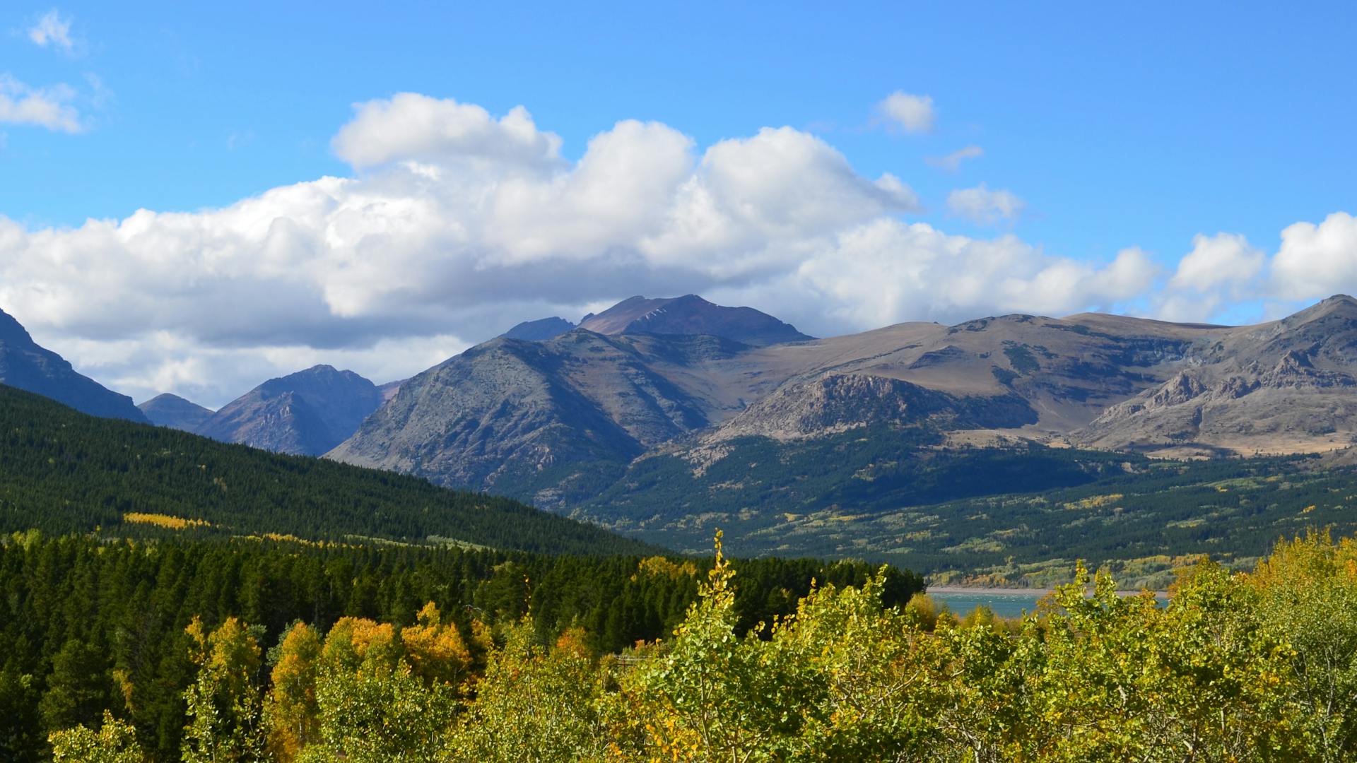 开源美图 2025 04 01