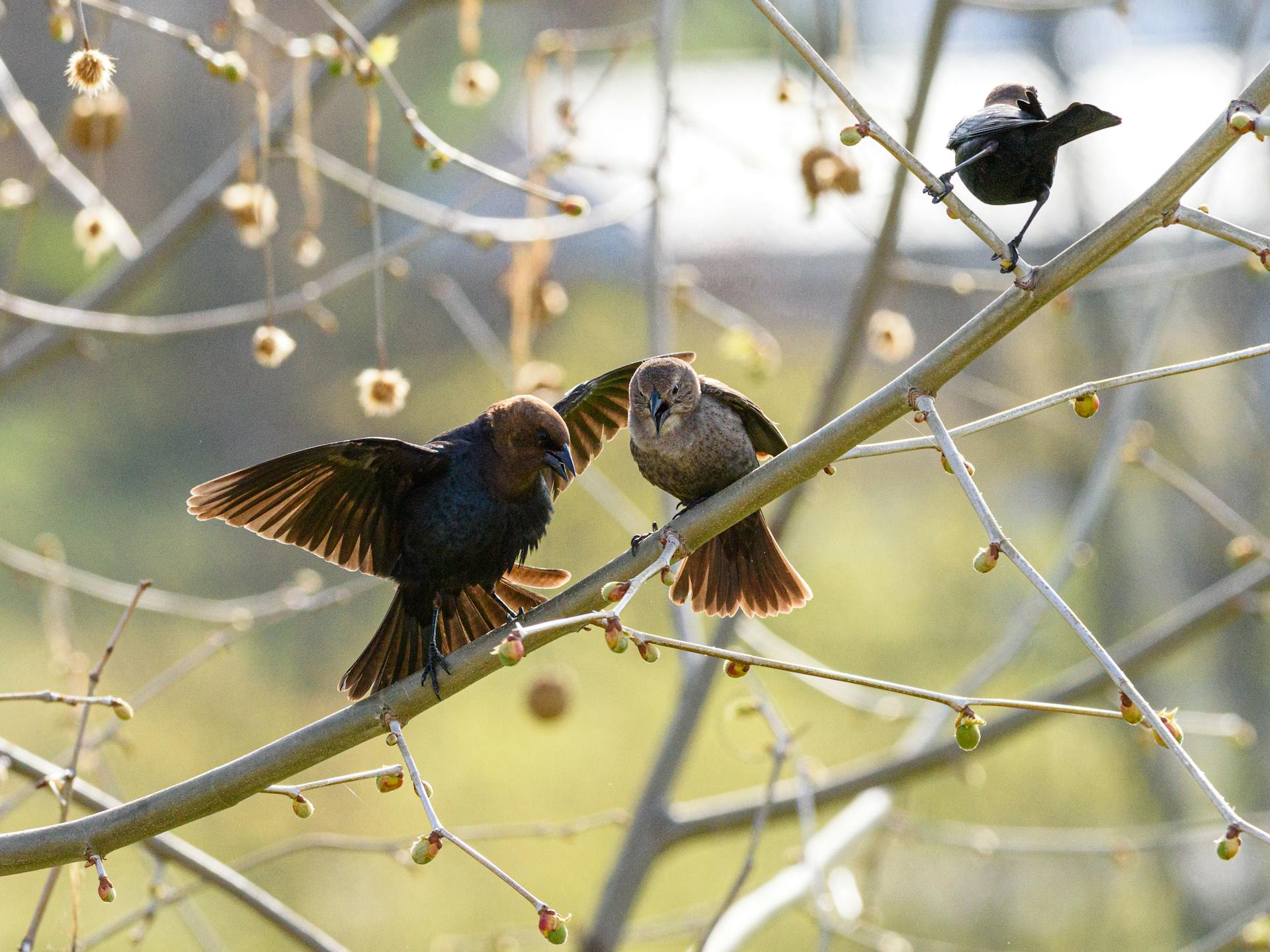 开源美图 2025 04 25