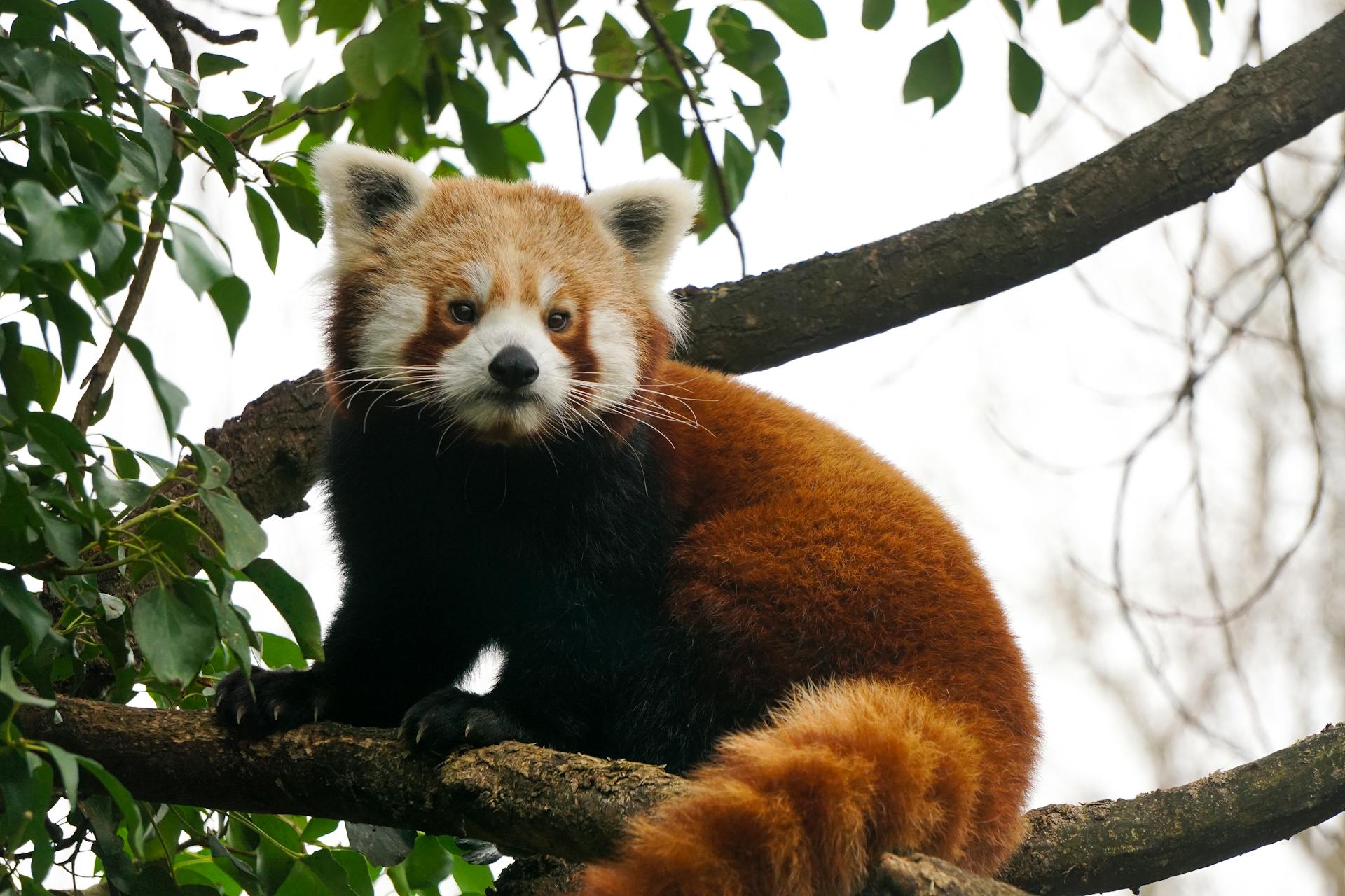 开源美图 2025 04 09