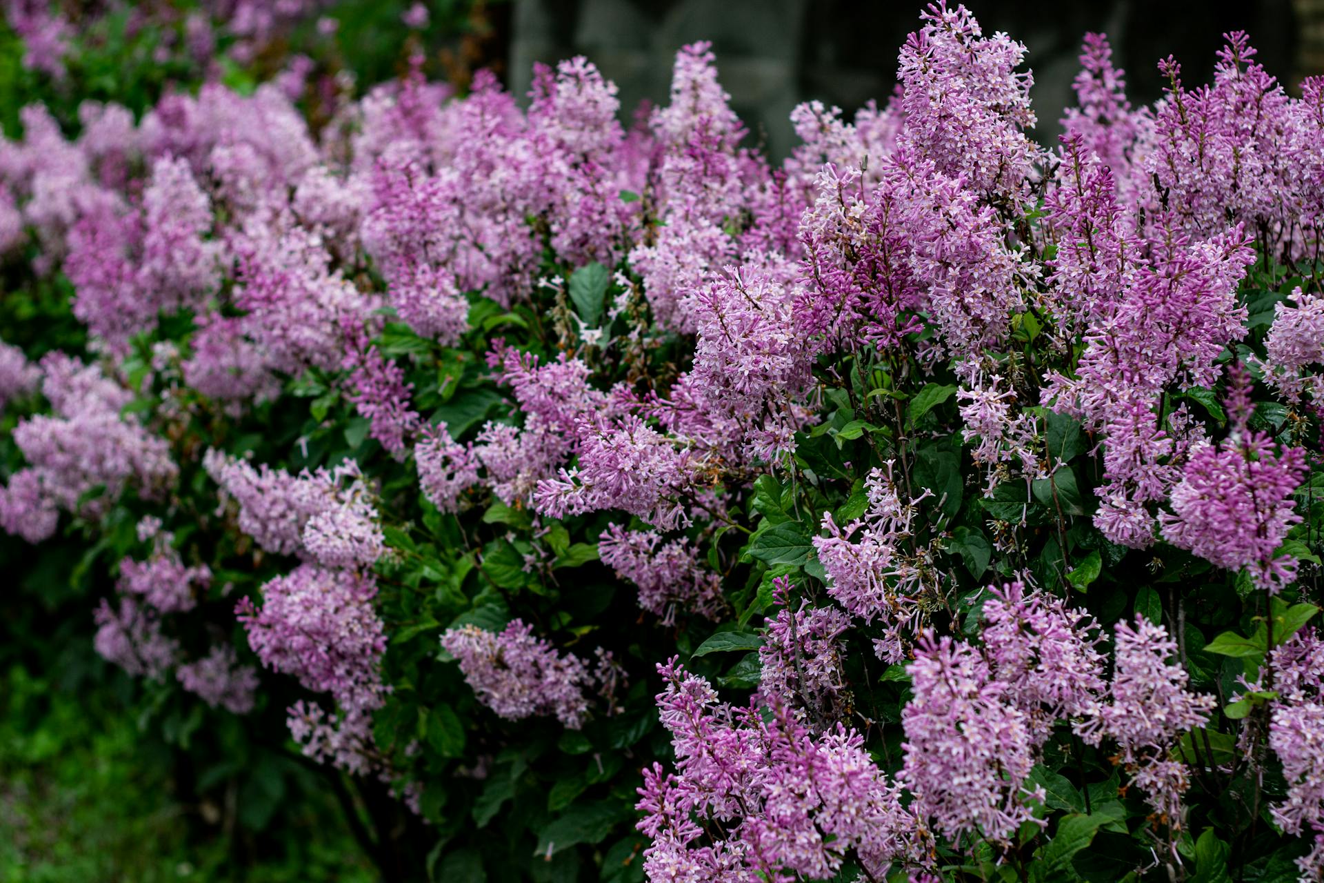 开源美图 2025 05 29