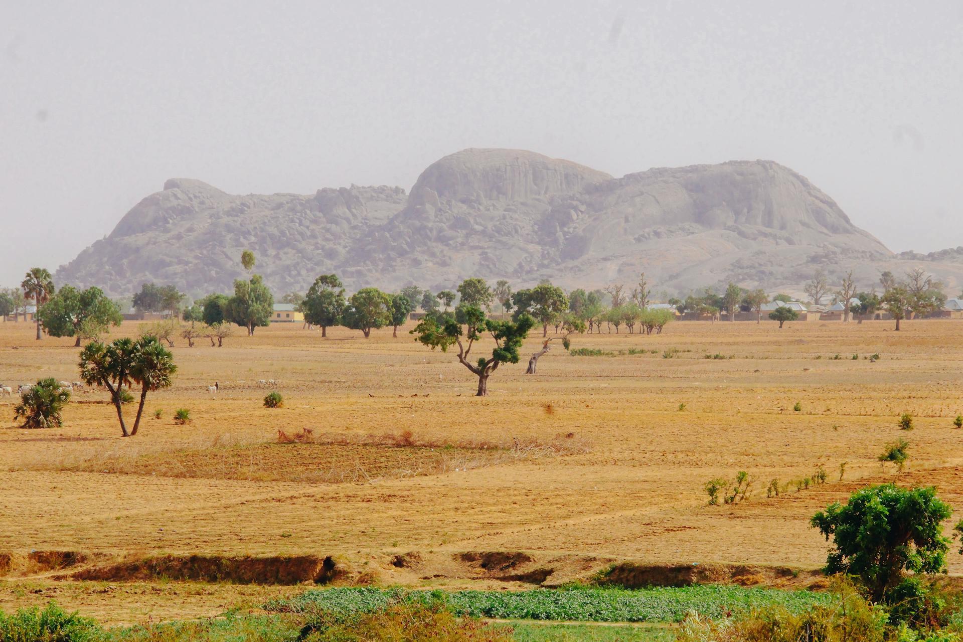 开源美图 2025 05 24