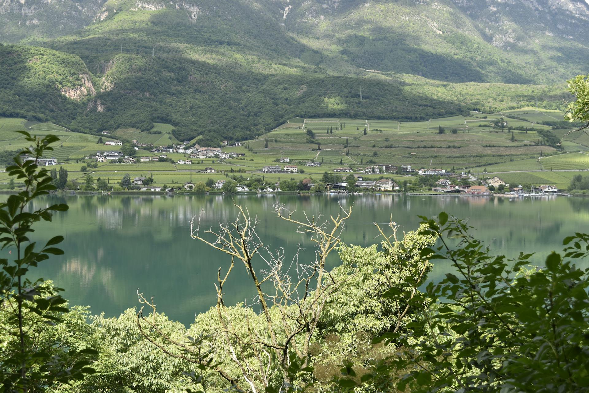 开源美图 2025 05 28