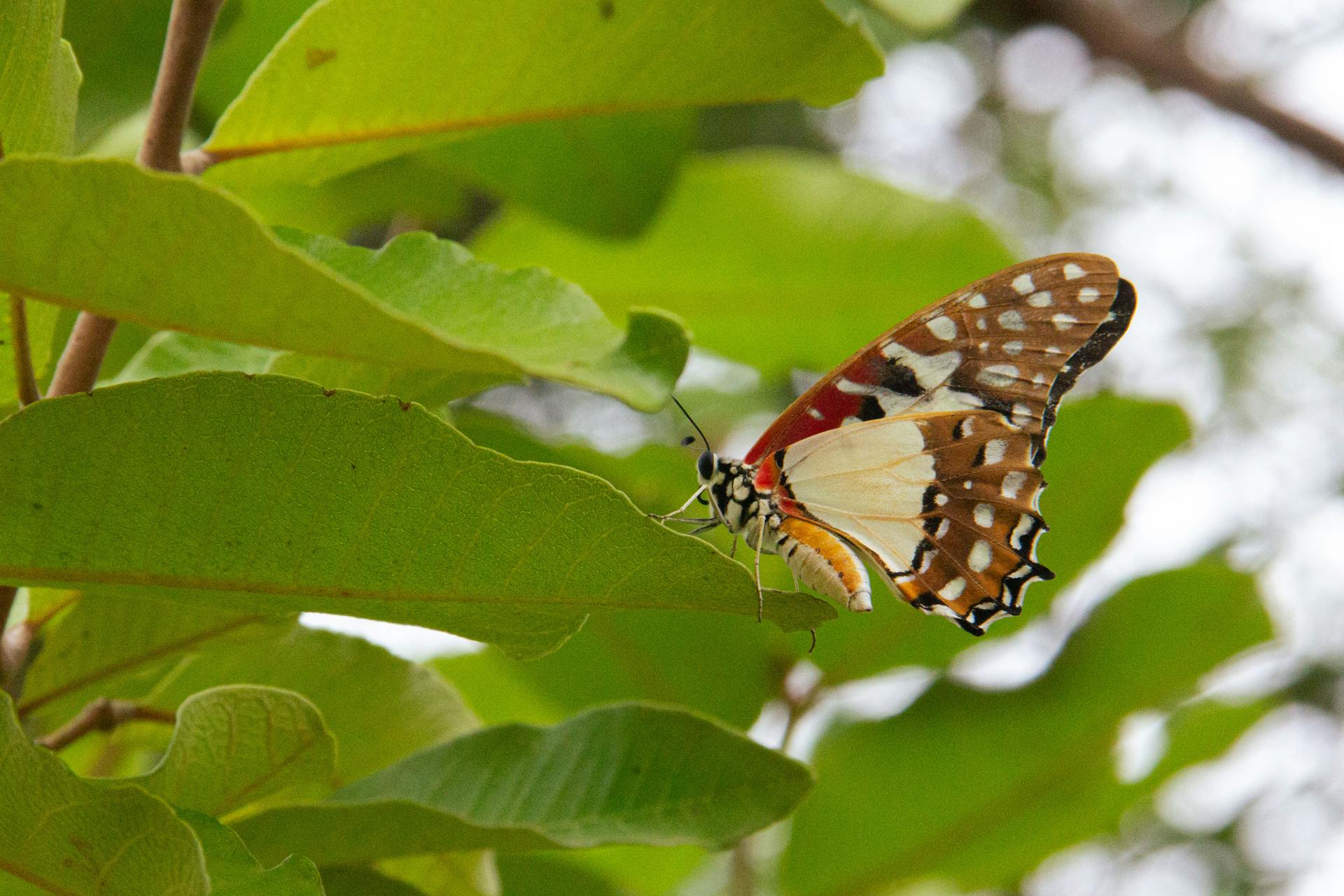开源美图 2025 05 01
