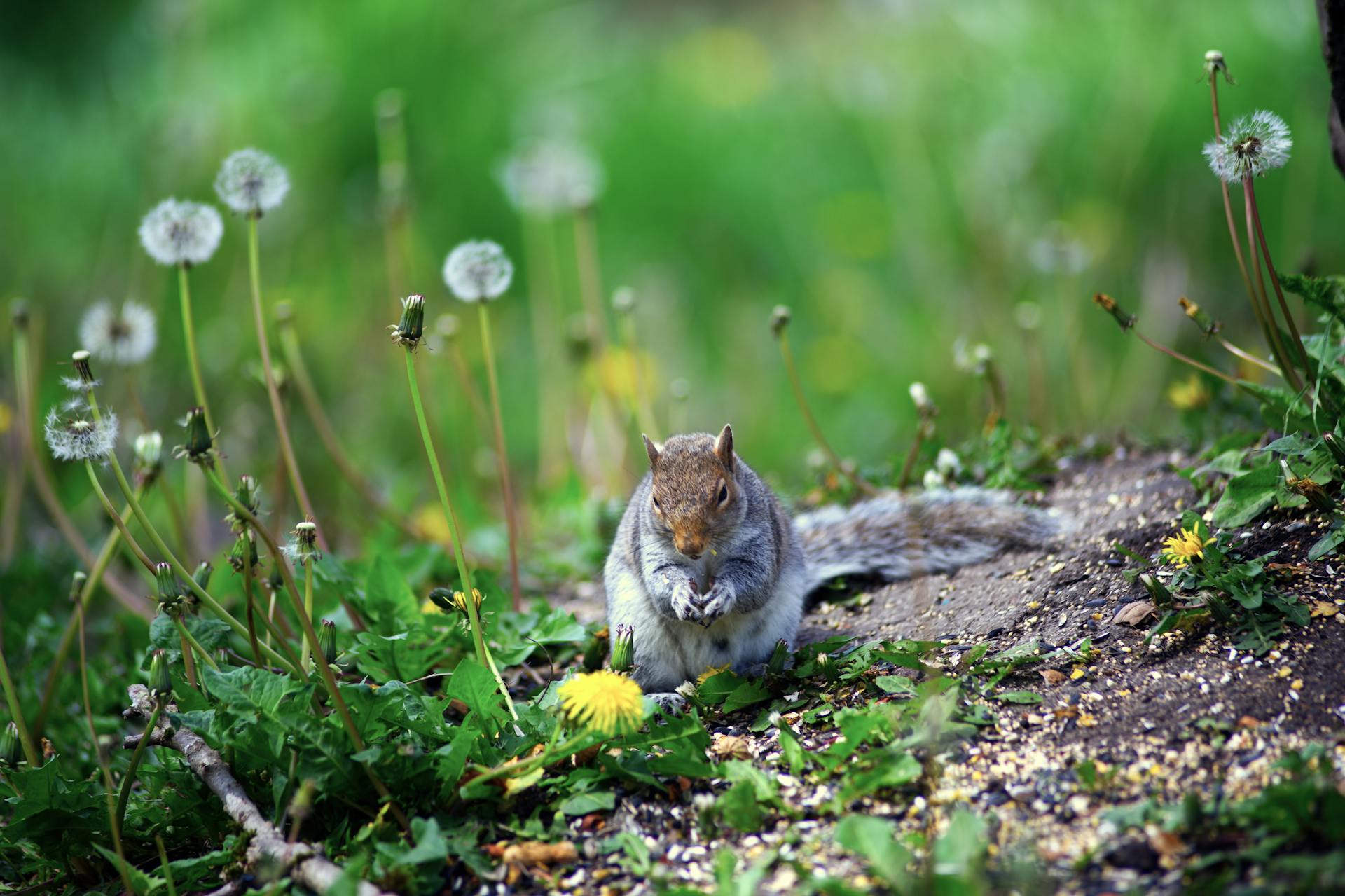 开源美图 2025 05 03