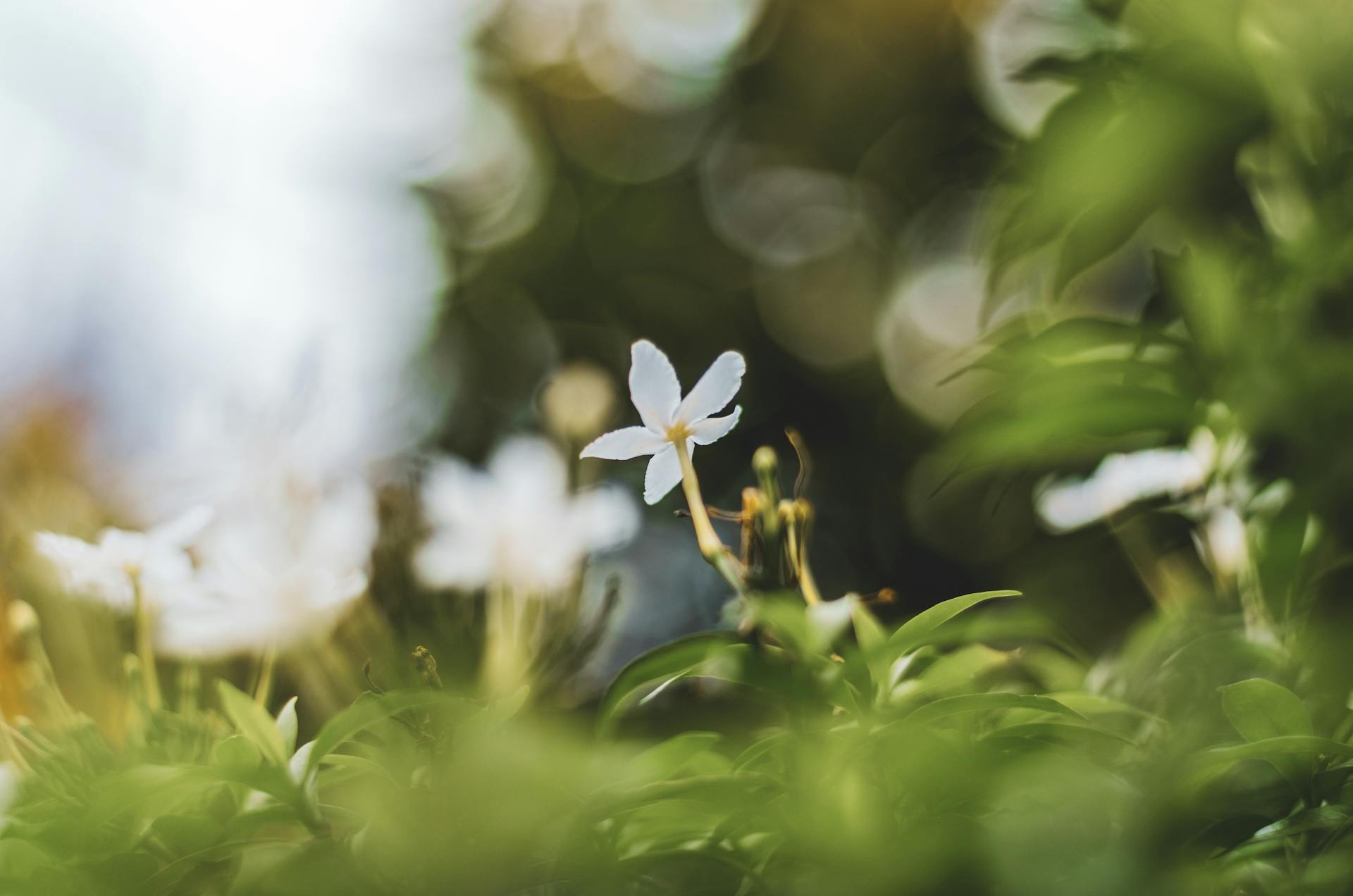 开源美图 2025 05 23