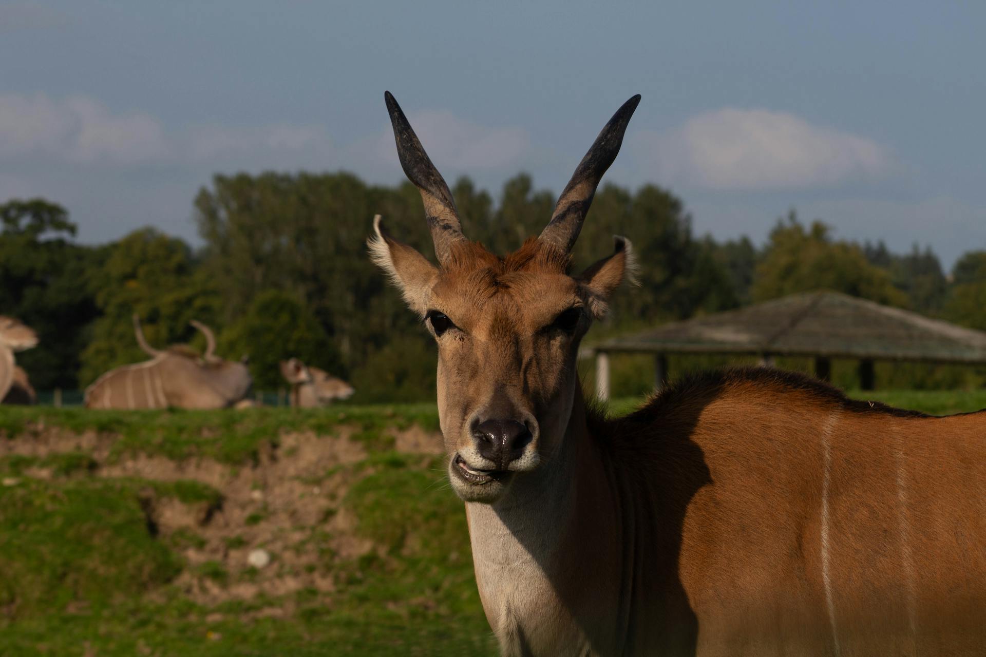 开源美图 2025 05 19