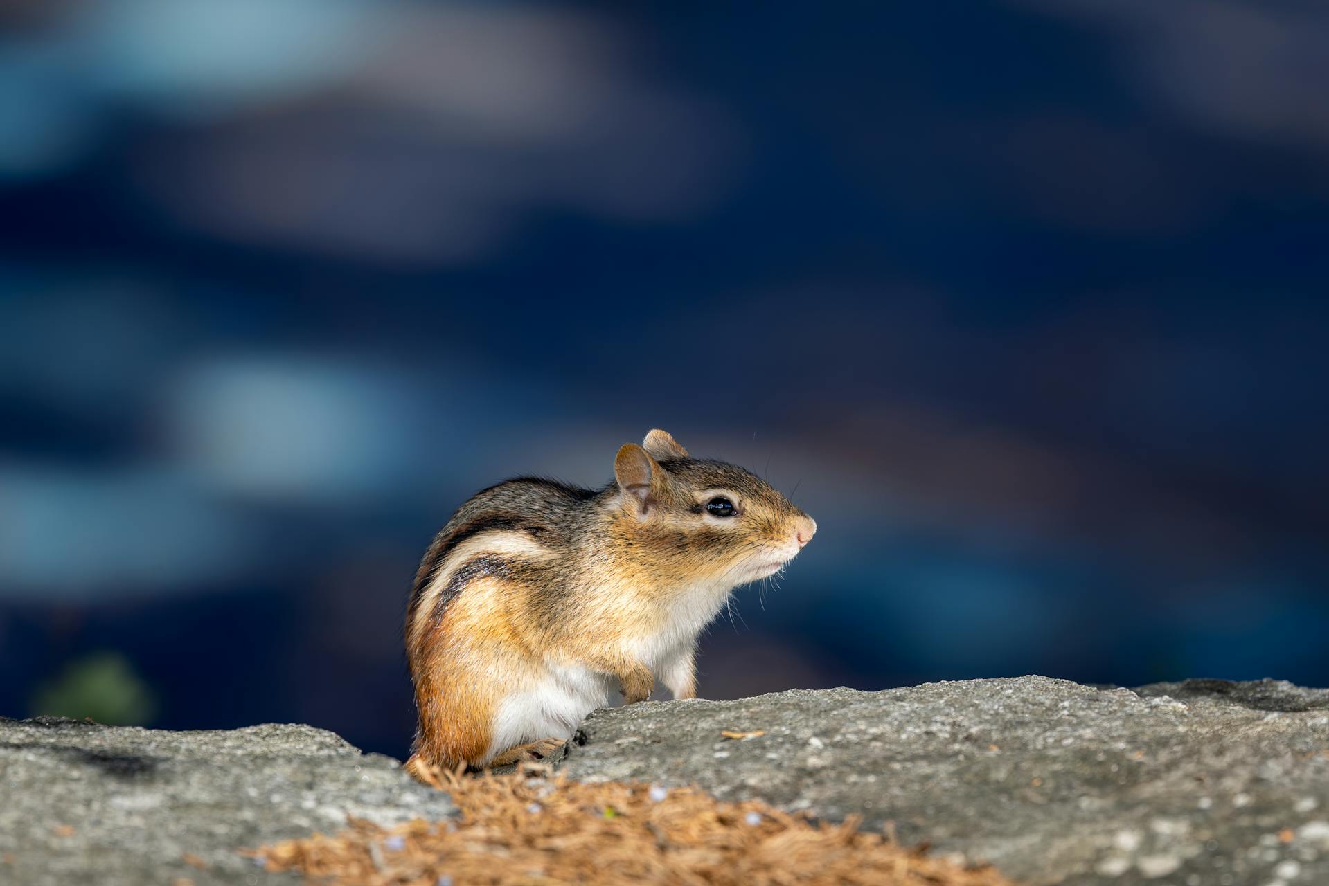 开源美图 2025 05 17