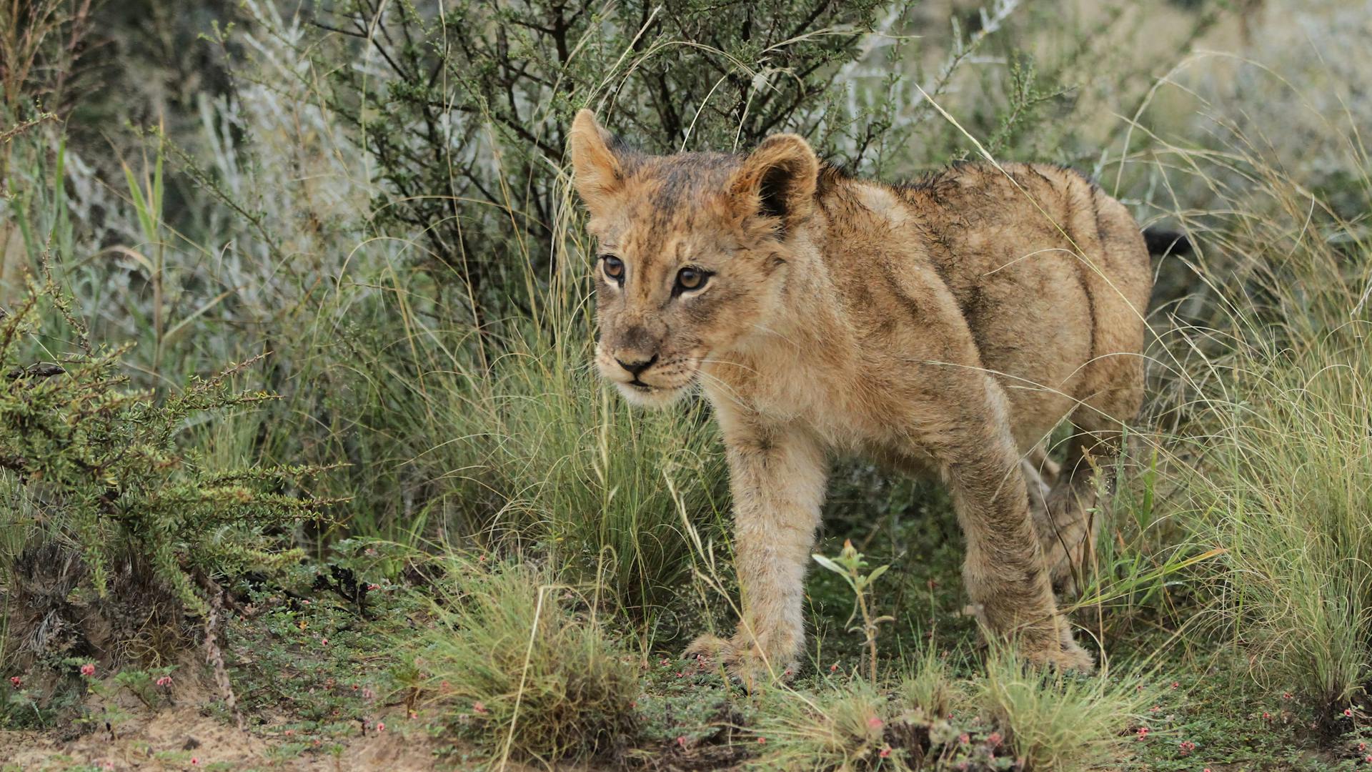 开源美图 2025 06 30