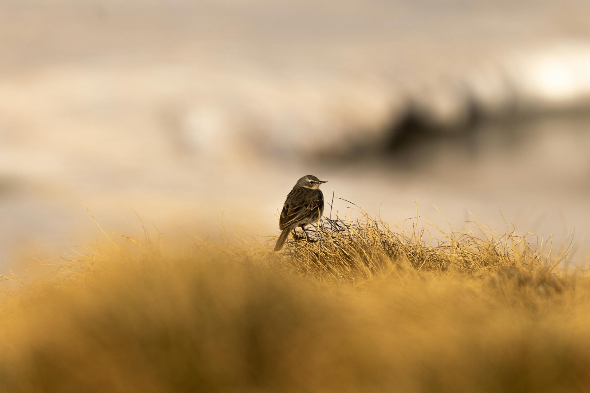 开源美图 2025 06 05