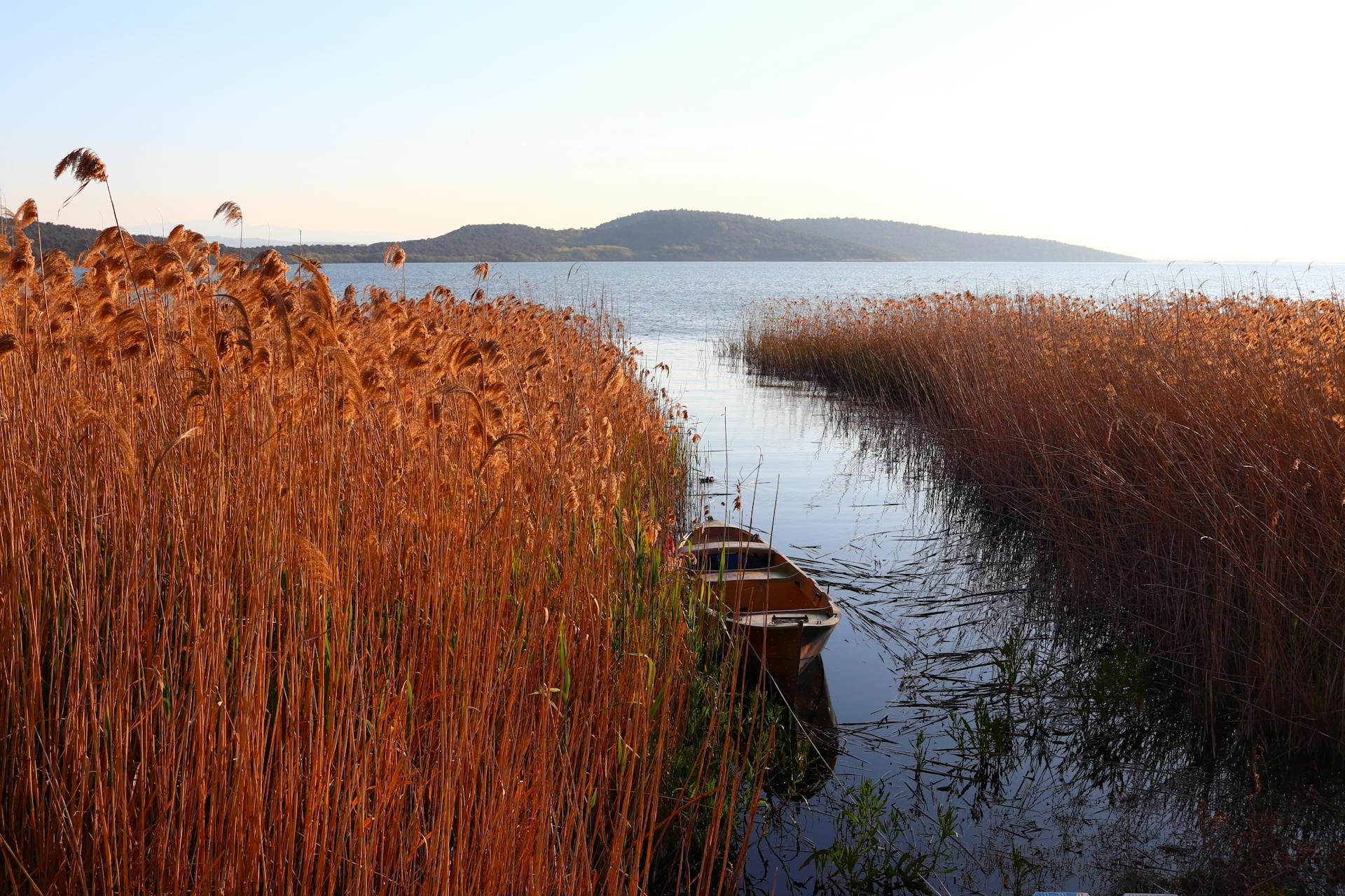 开源美图 2025 07 19