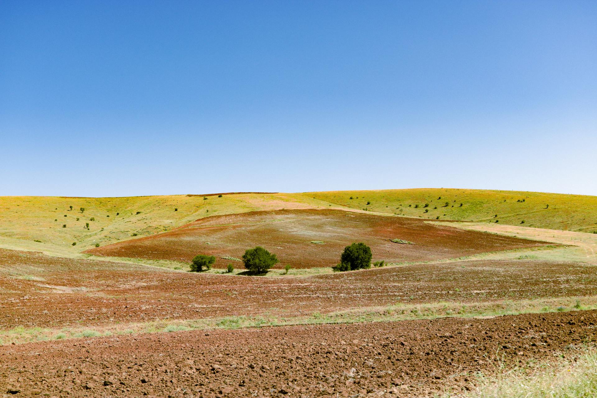 开源美图 2025 07 21