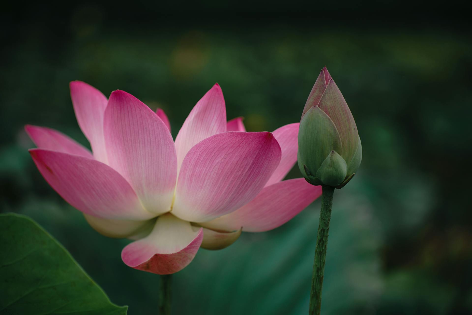 开源美图 2025 07 22