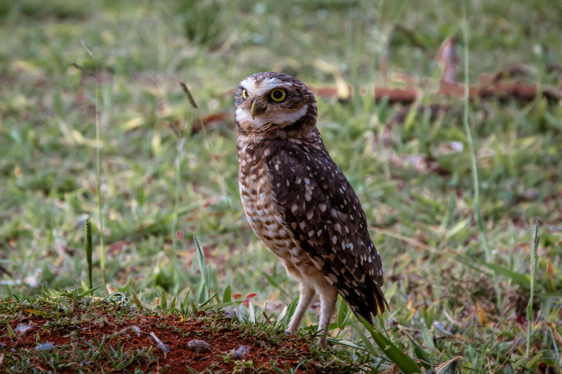 开源美图 2025 07 05