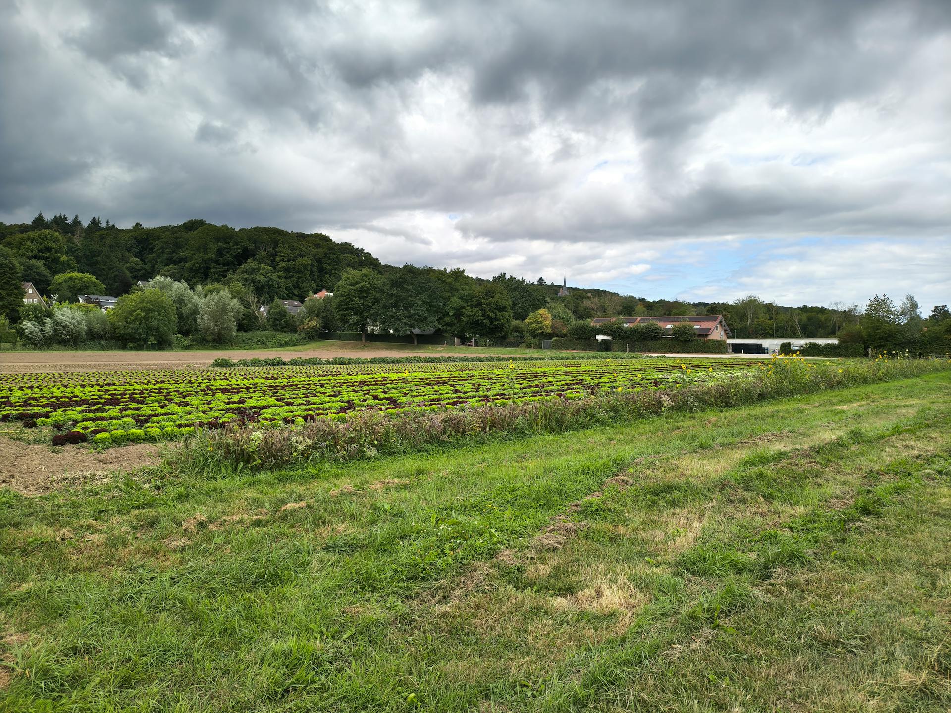 开源美图 2025 08 30