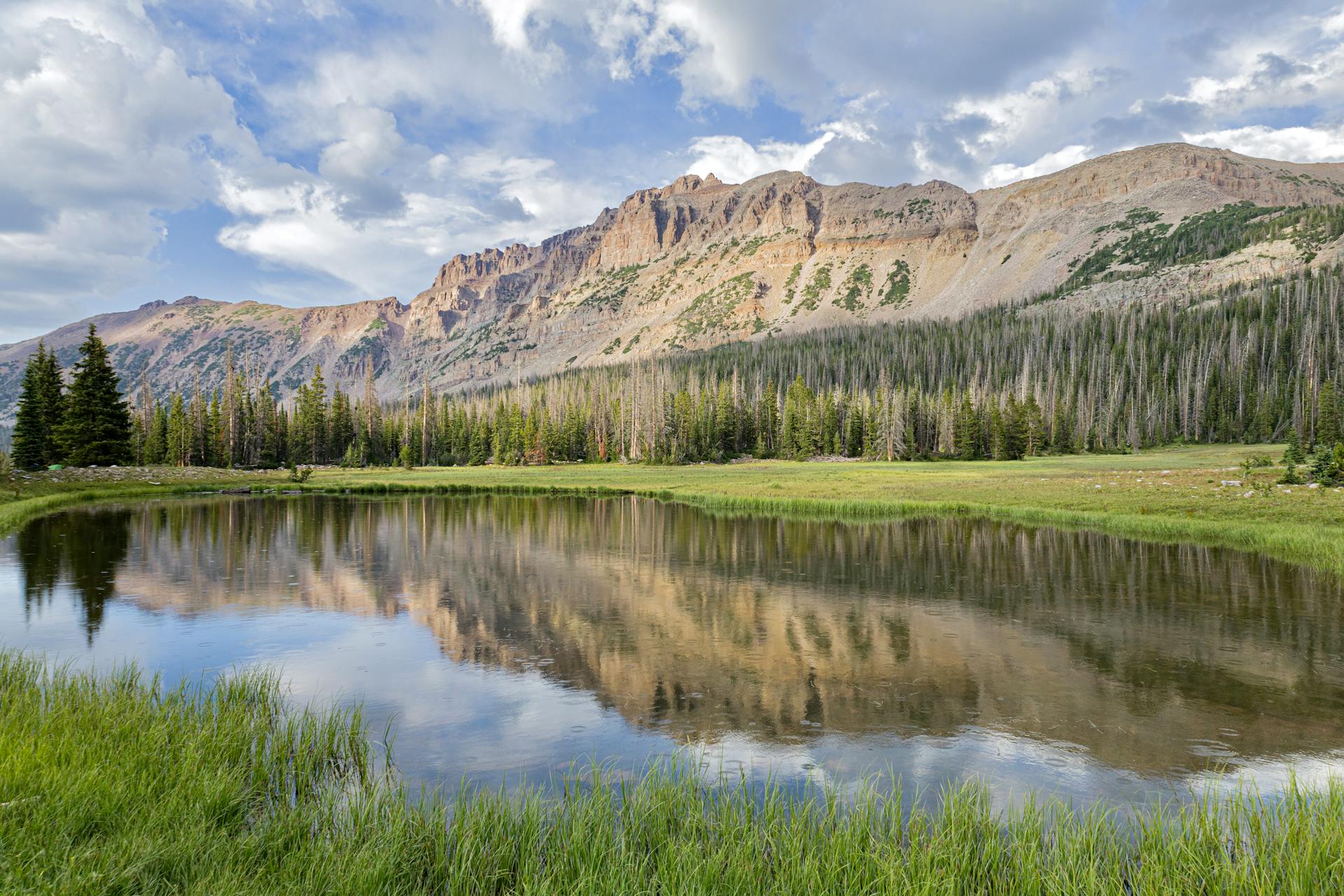 开源美图 2025 08 03