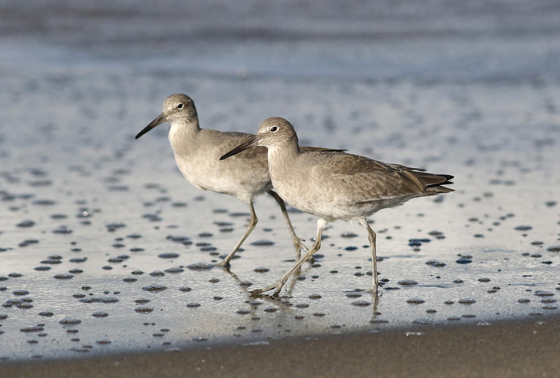 开源美图 2025 08 02