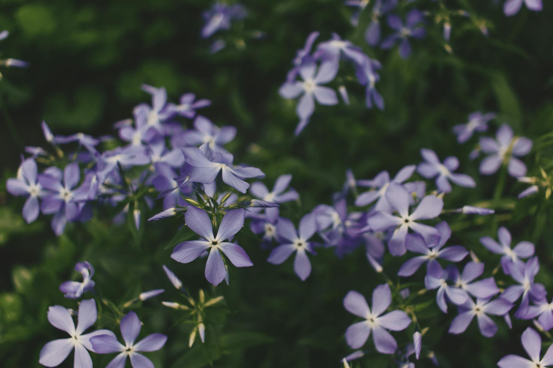 开源美图 2025 08 13