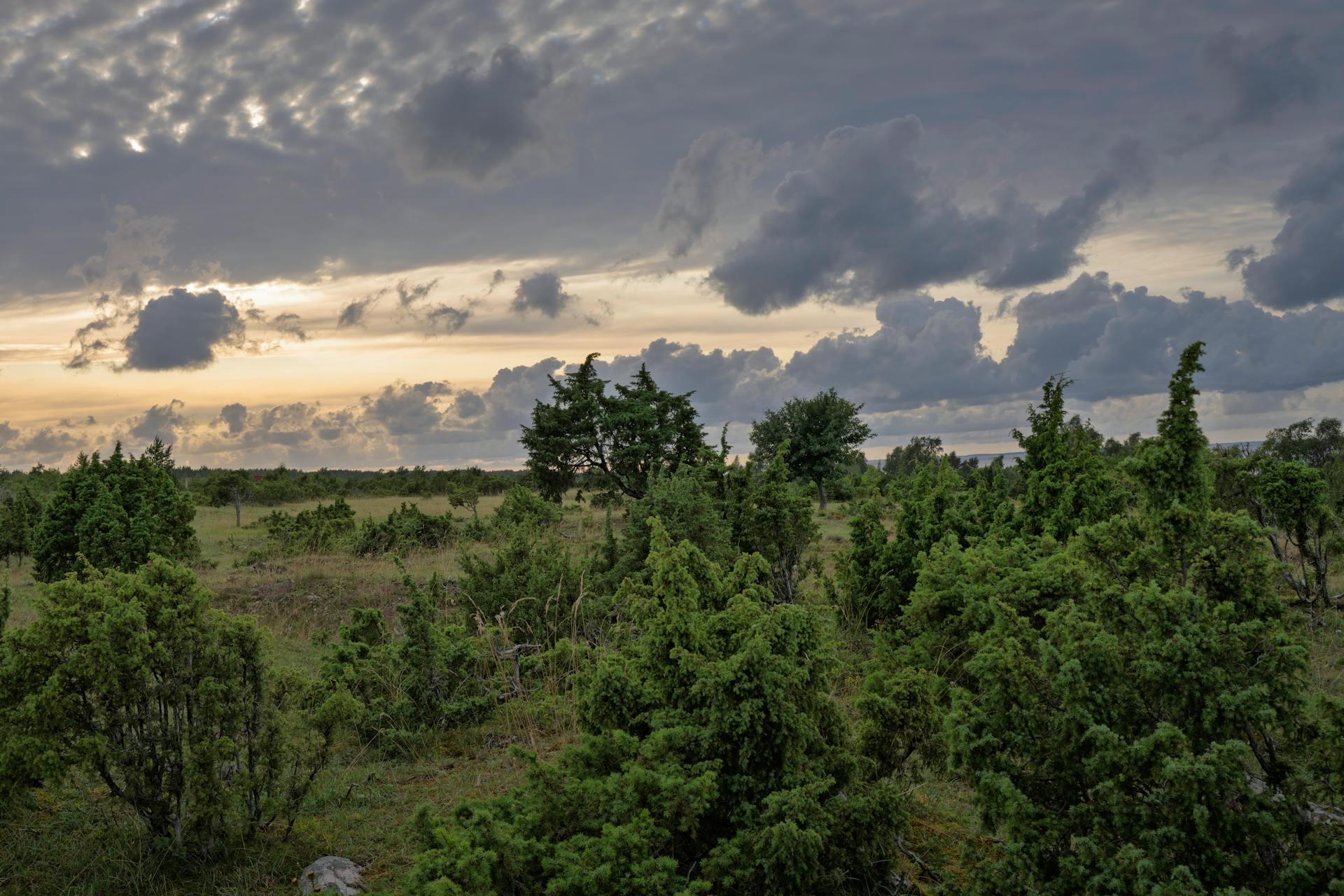 开源美图 2025 08 09
