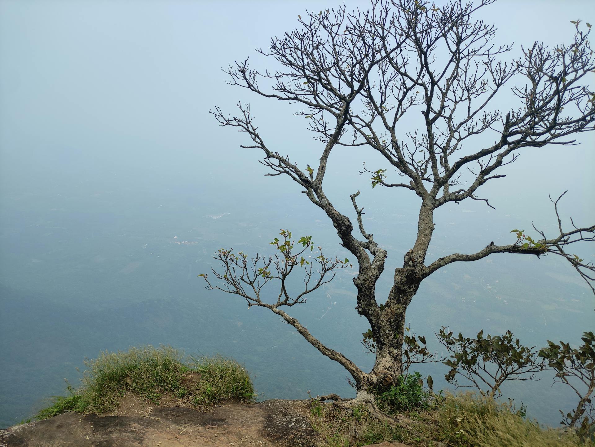 开源美图 2025 08 14