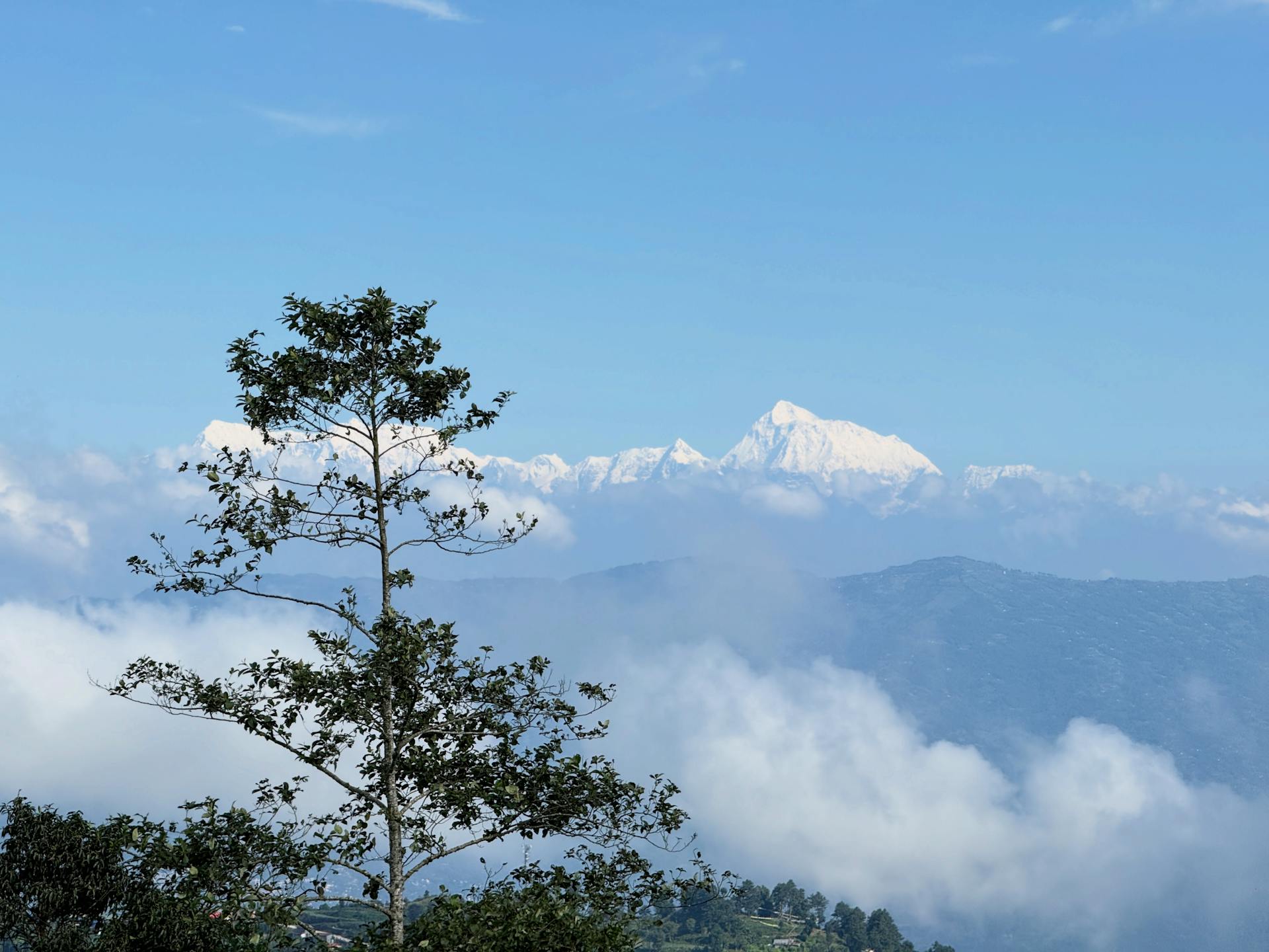 开源美图 2025 09 30