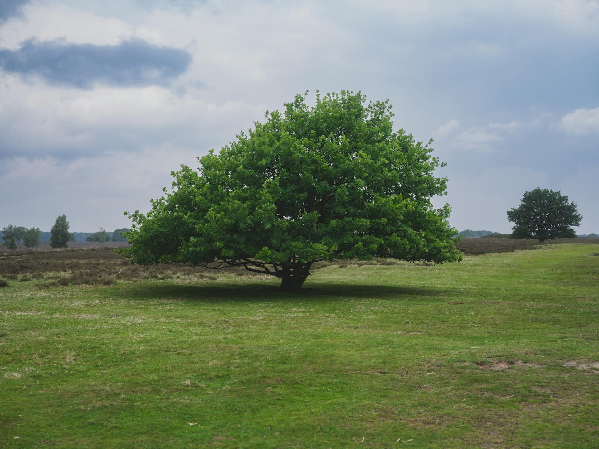 开源美图 2025 09 04