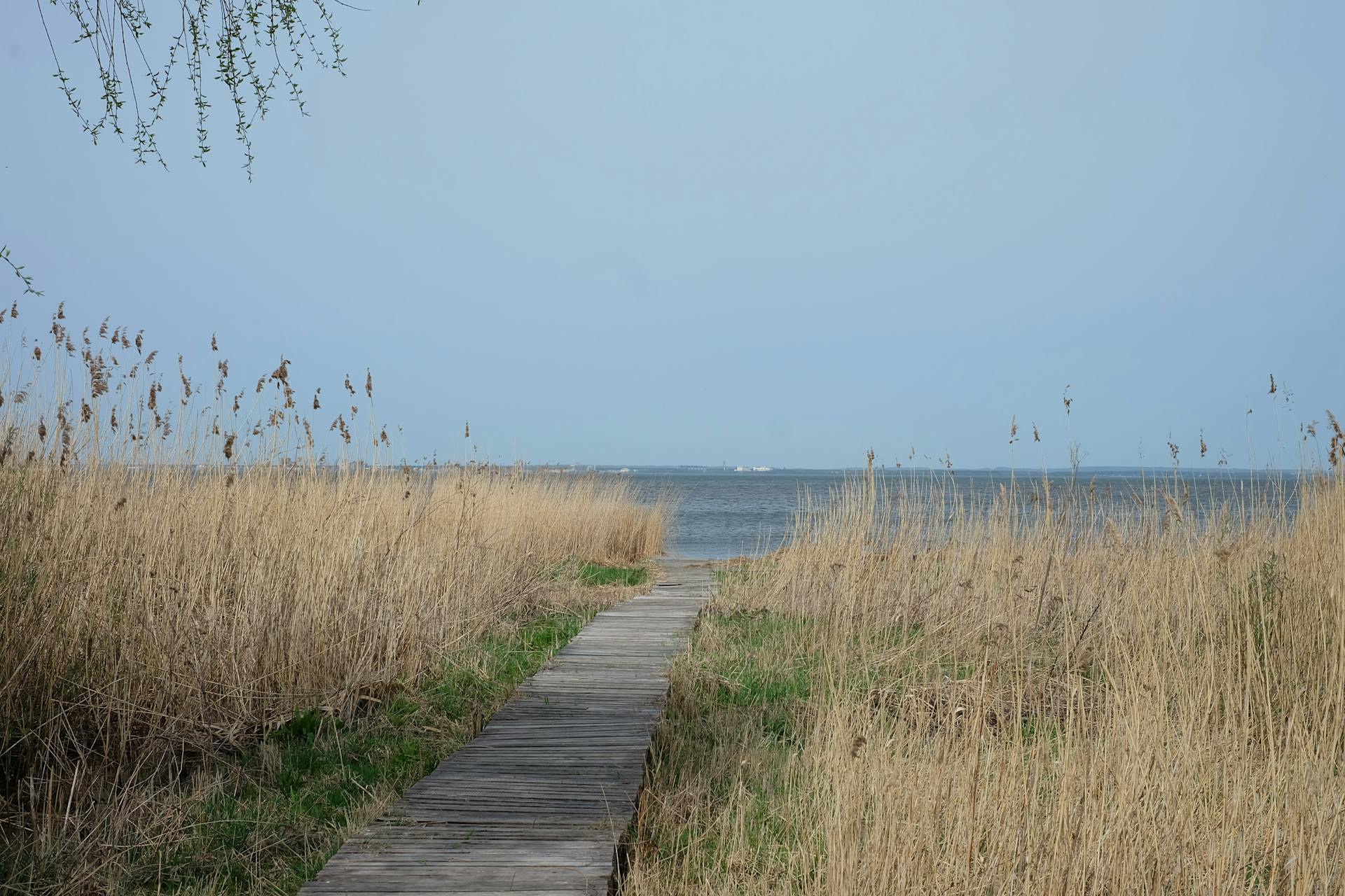 开源美图 2025 09 29