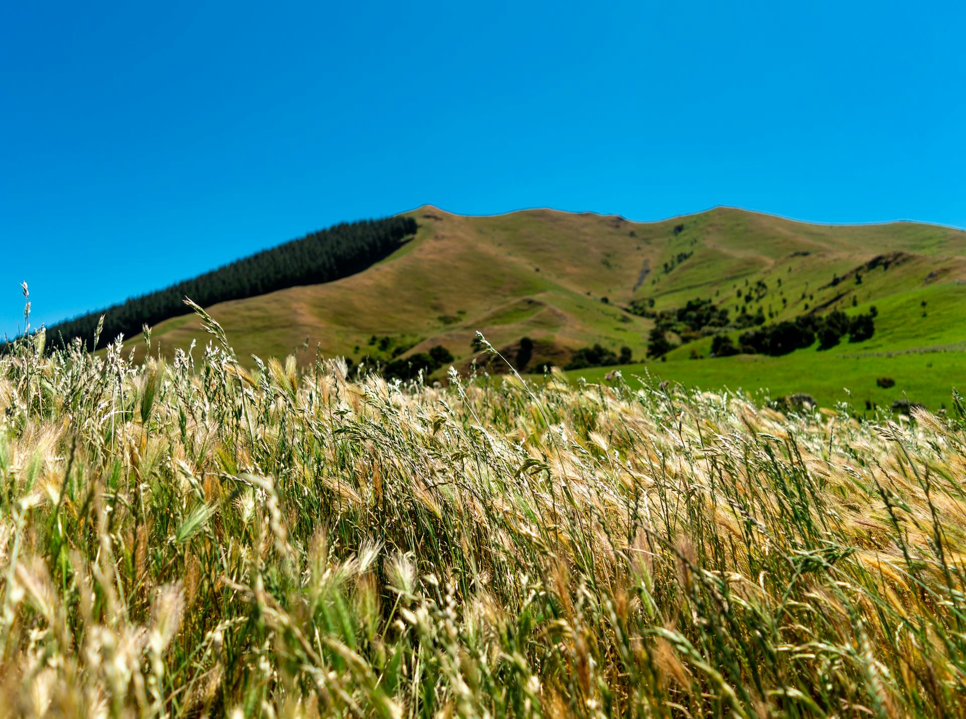 开源美图 2025 09 06