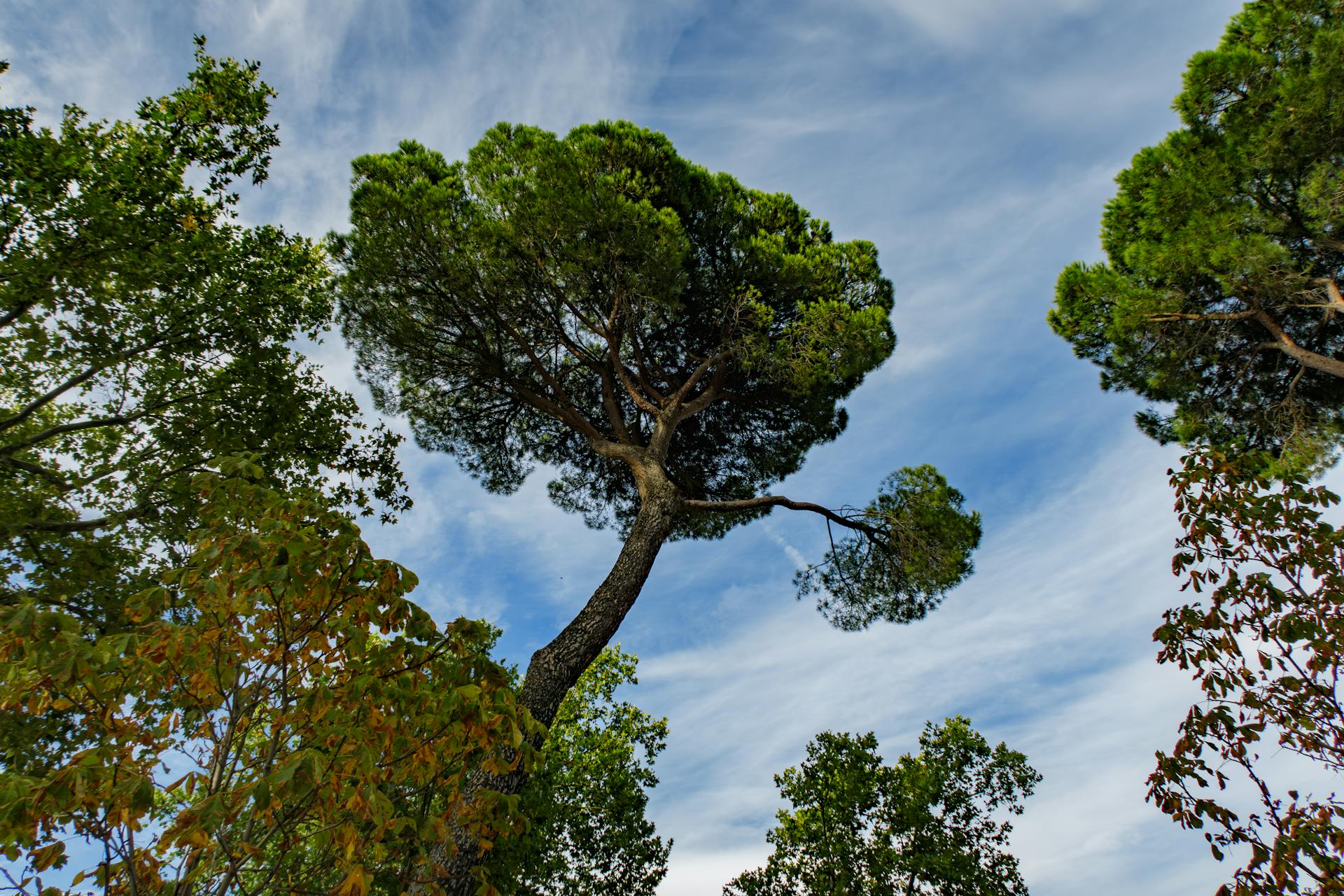 开源美图 2025 09 09