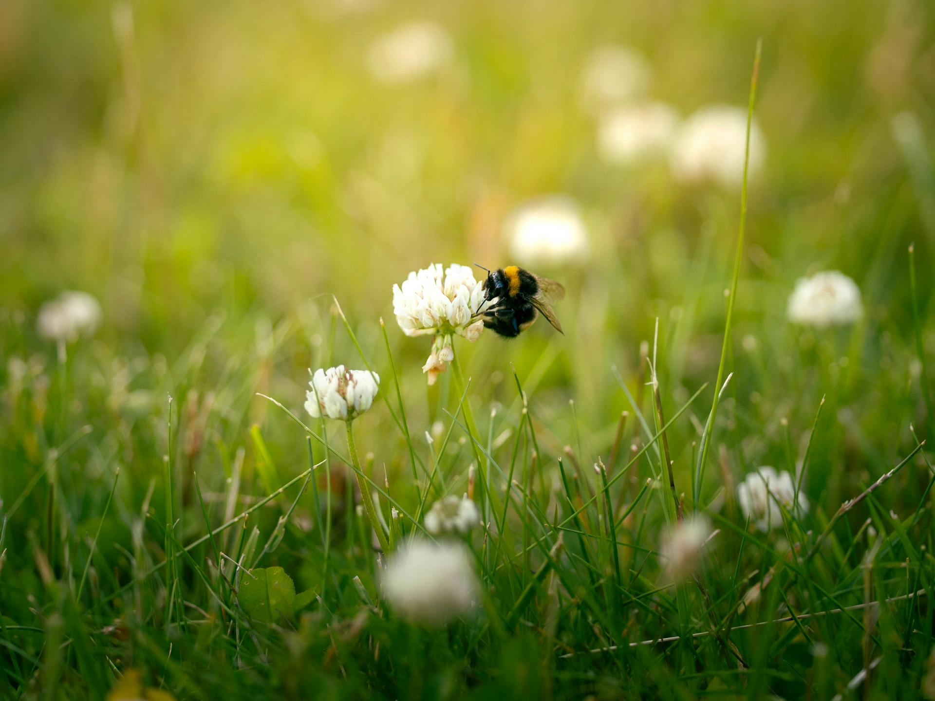 开源美图 2025 09 26