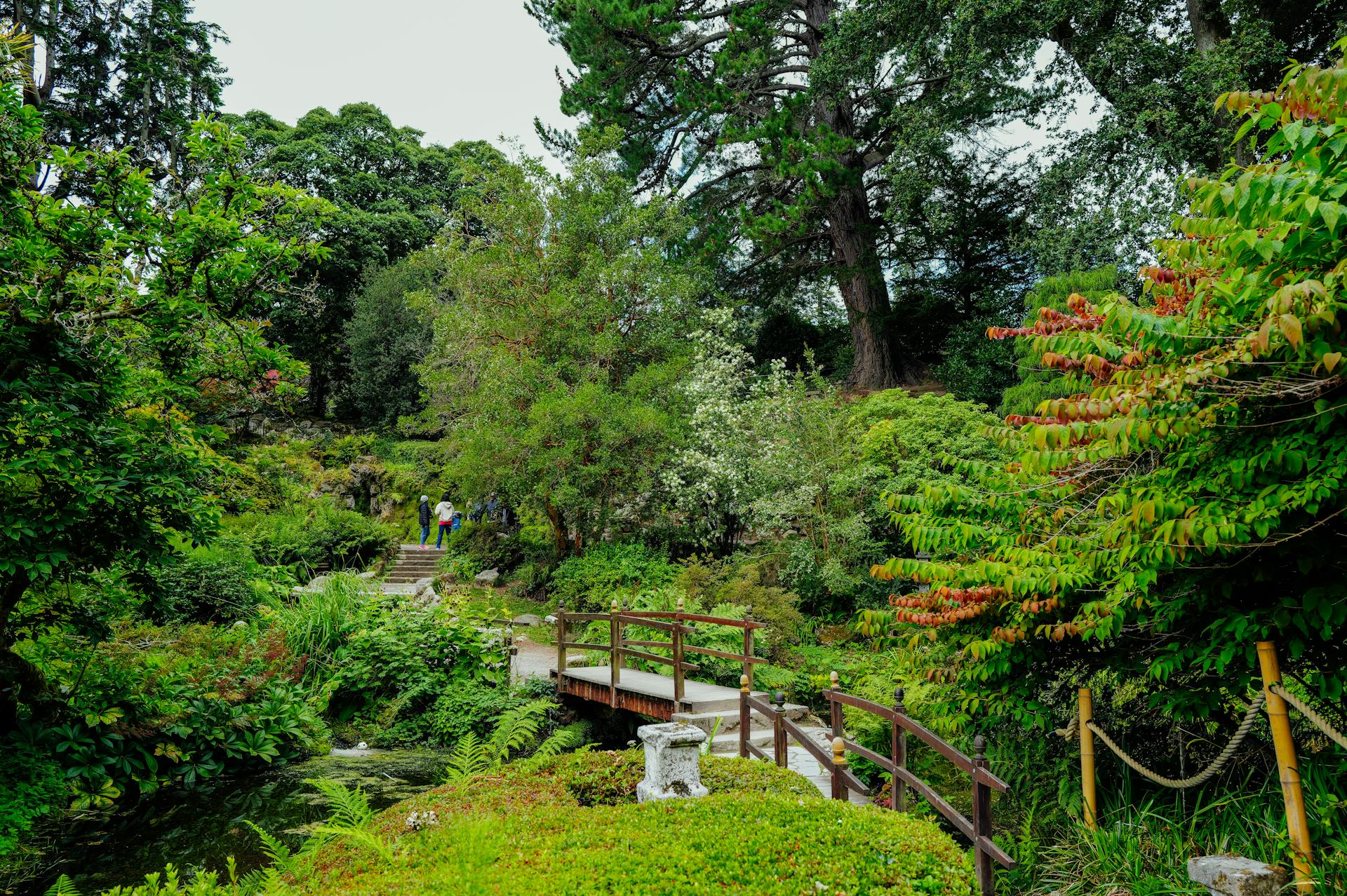 开源美图 2025 10 01