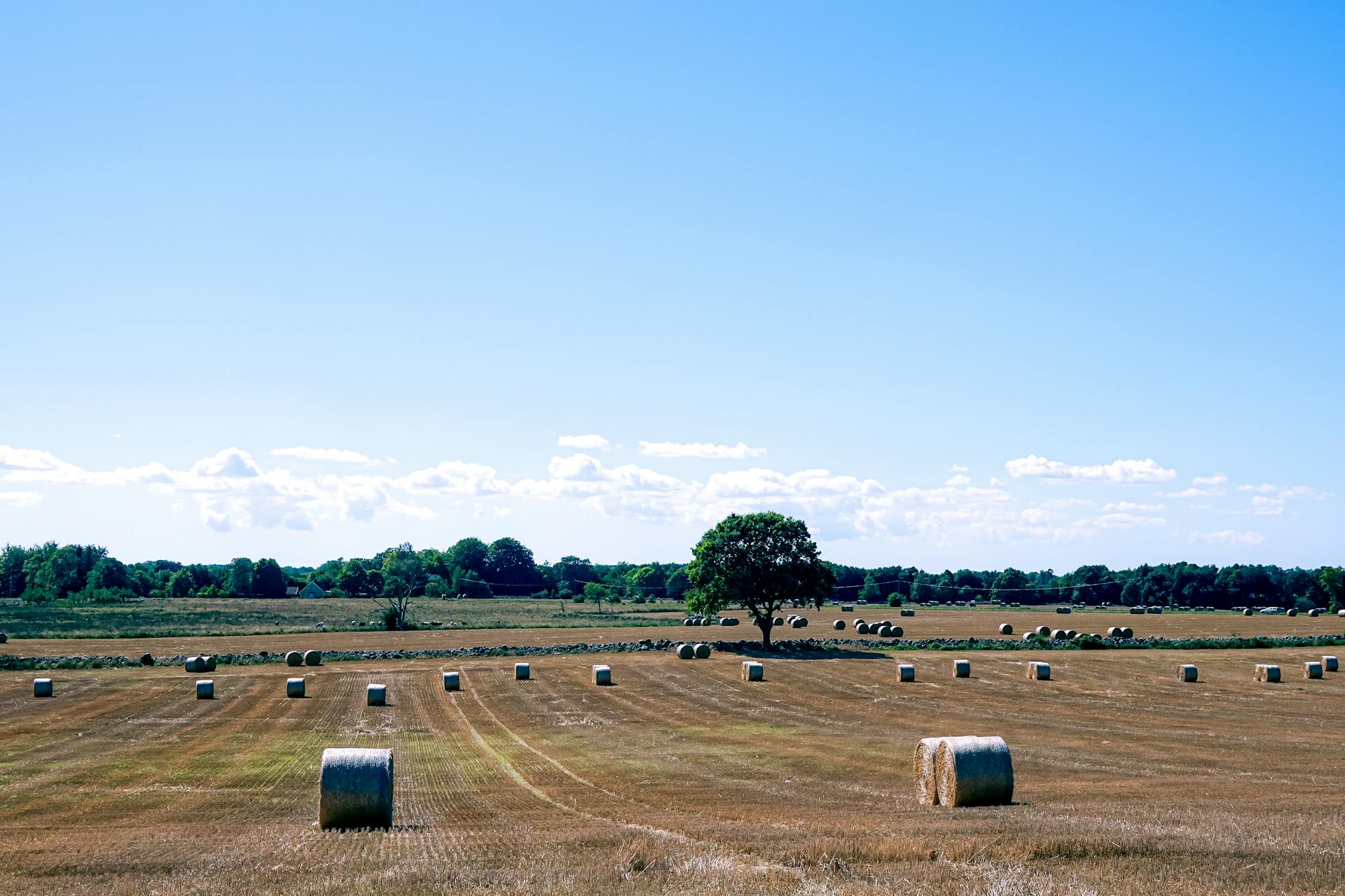 开源美图 2025 10 28