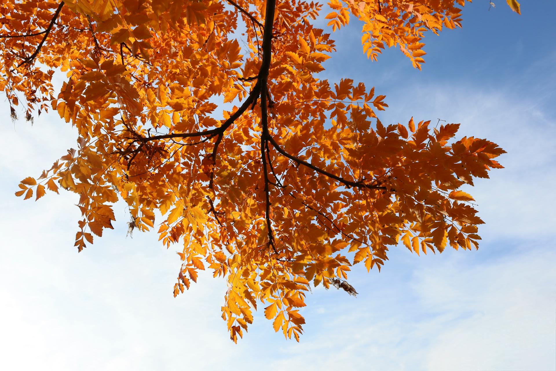 开源美图 2025 10 26