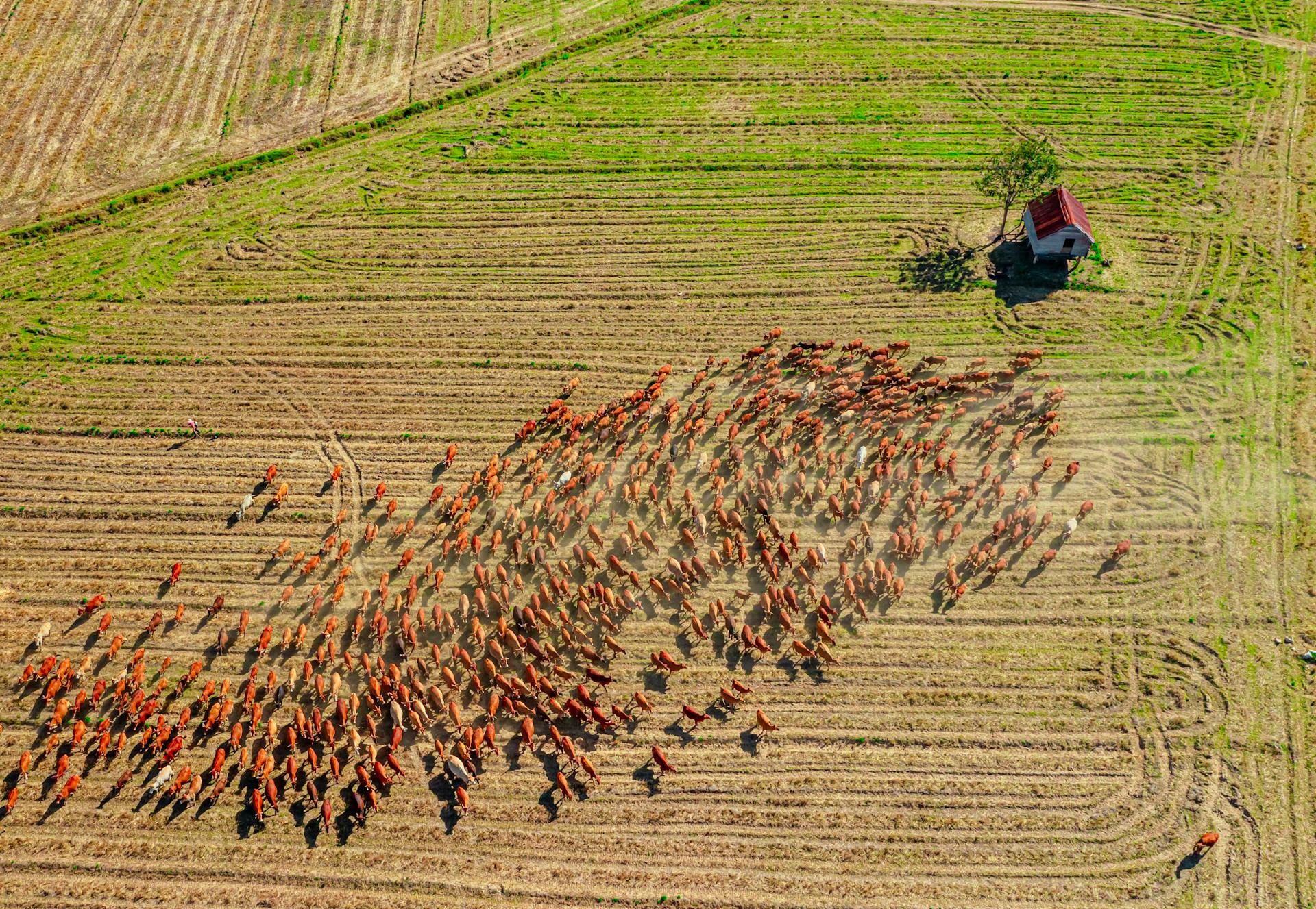 开源美图 2025 10 08