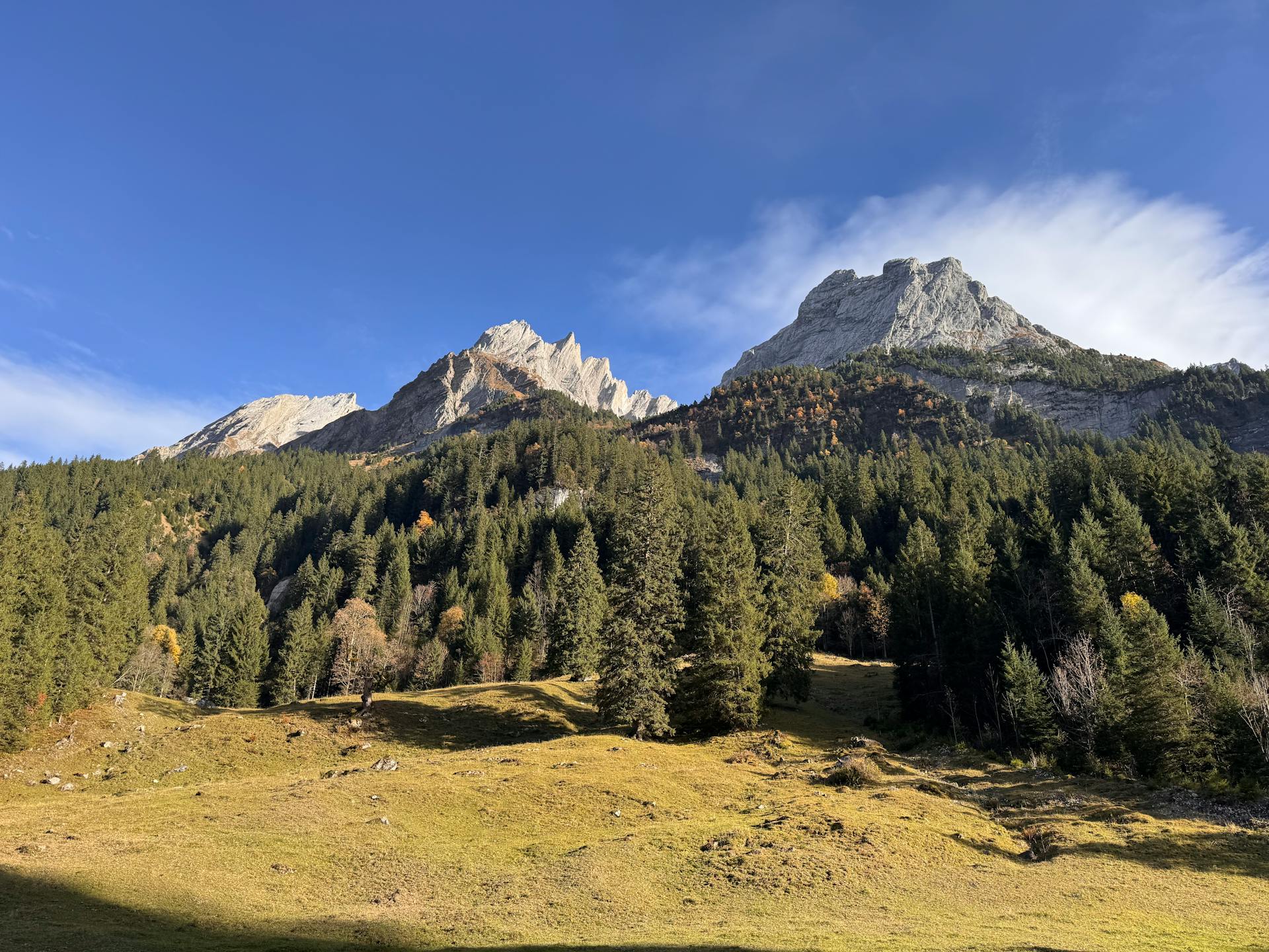 开源美图 2025 10 24