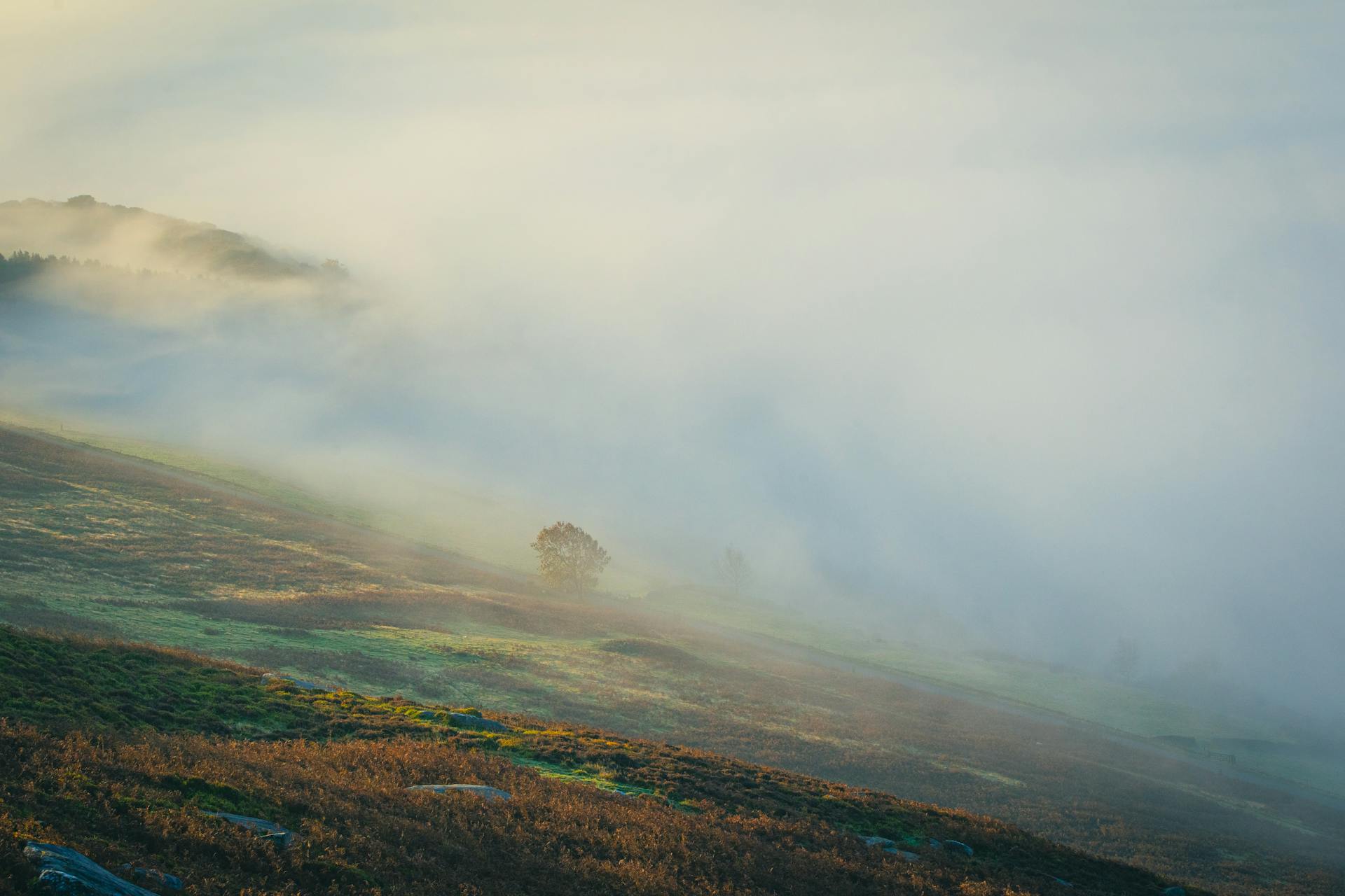 开源美图 2025 10 14