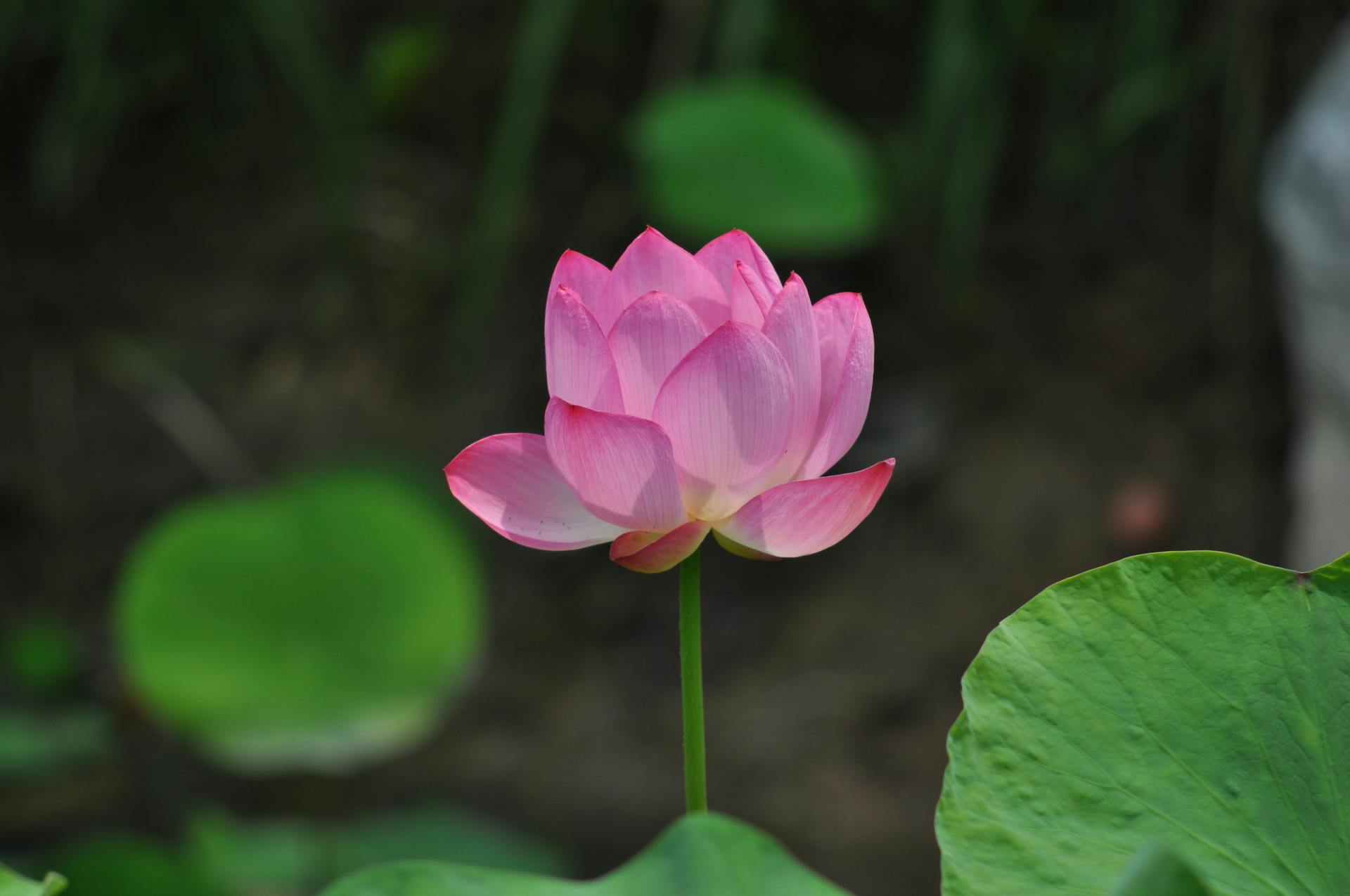 开源美图 2025 11 14