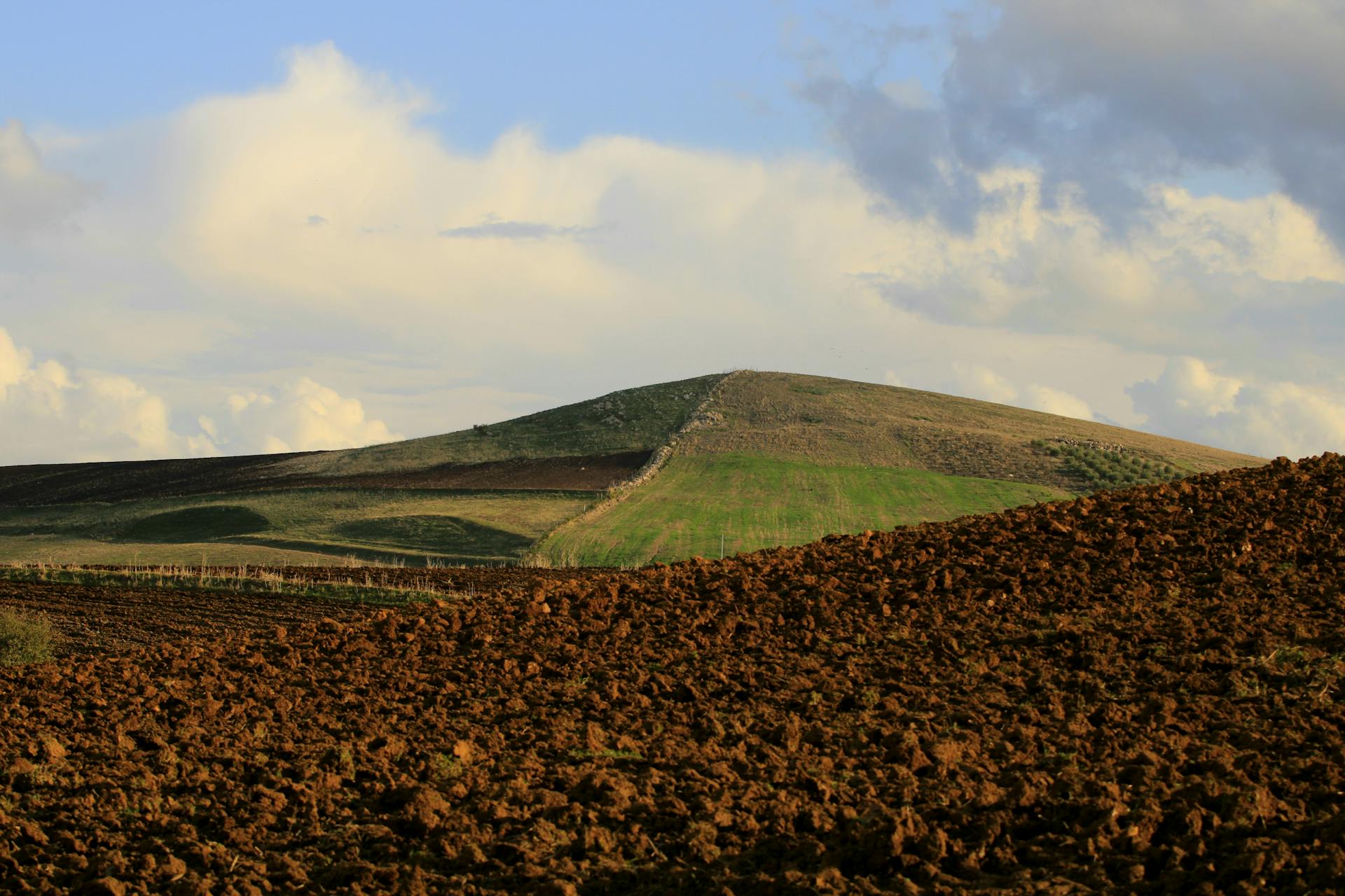 开源美图 2025 11 19