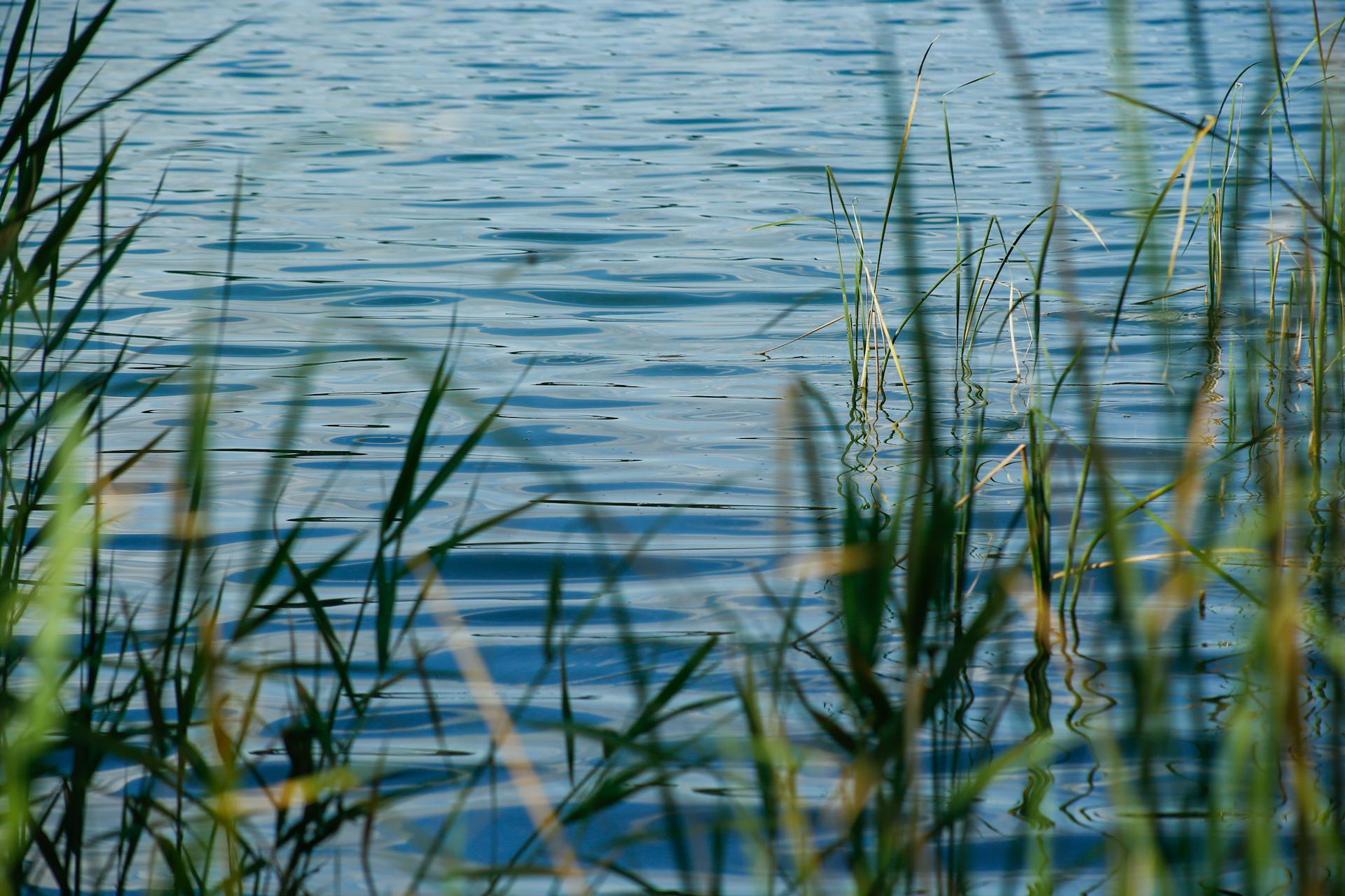 开源美图 2025 11 02