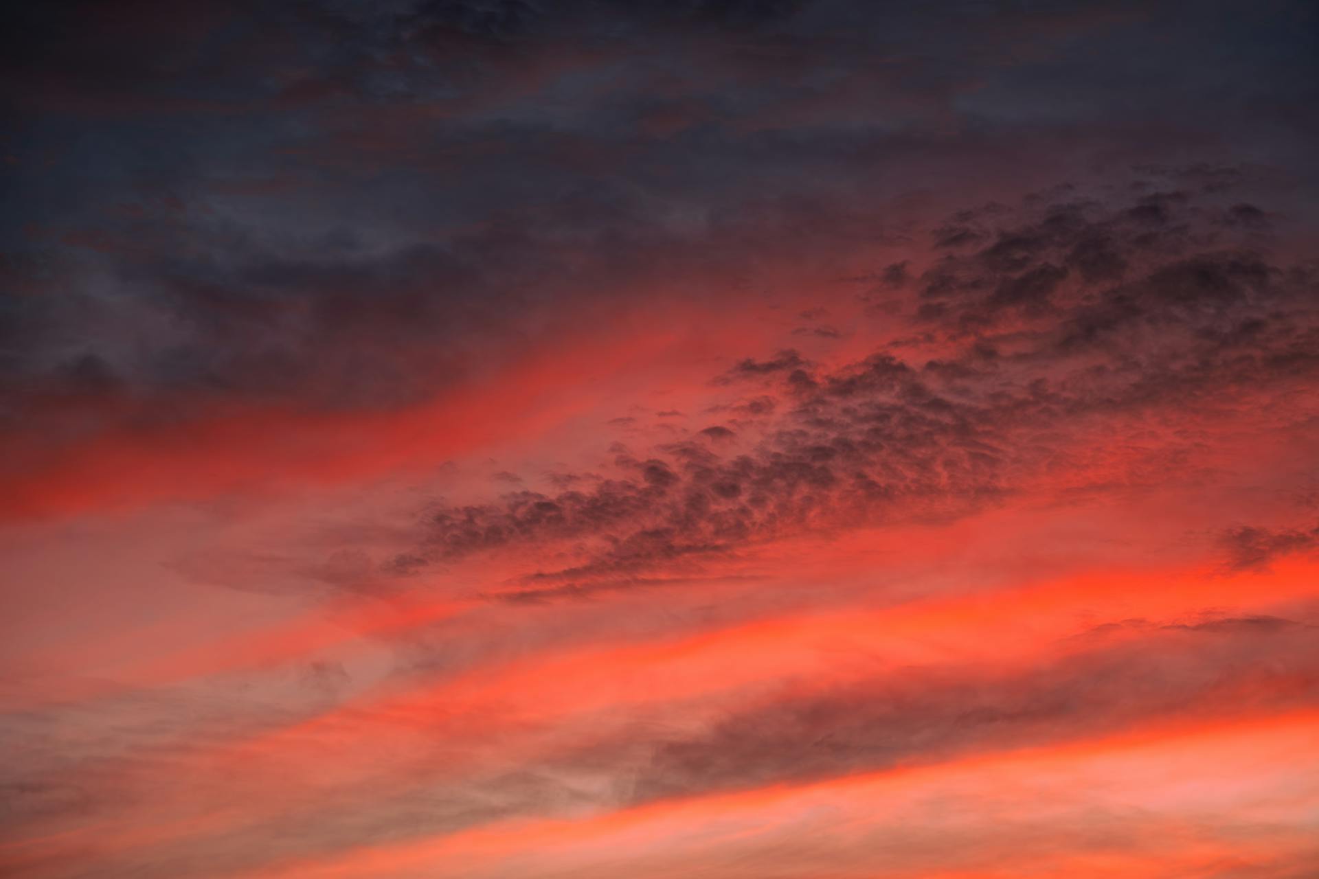 开源美图 2025 11 08