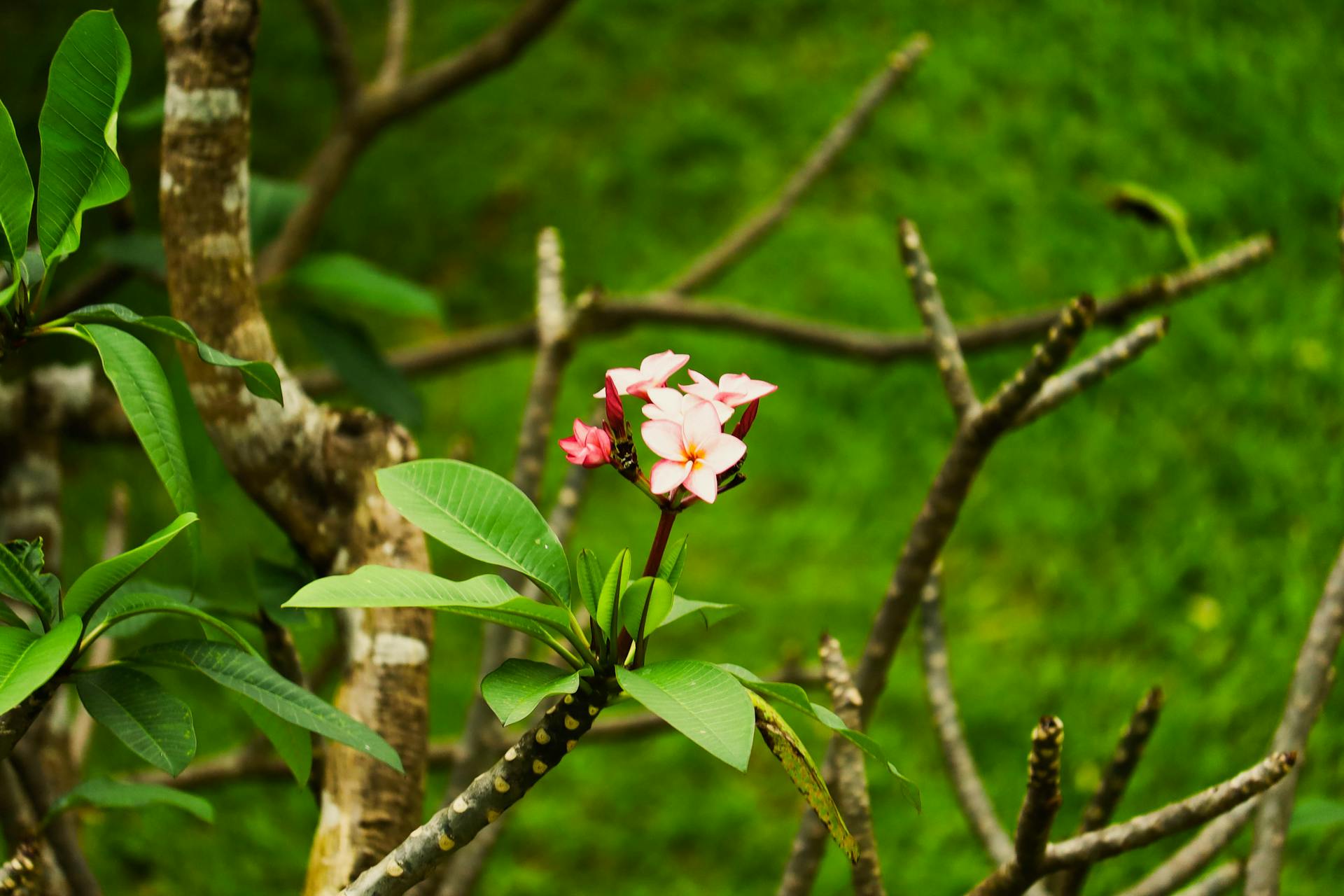 开源美图 2025 11 01