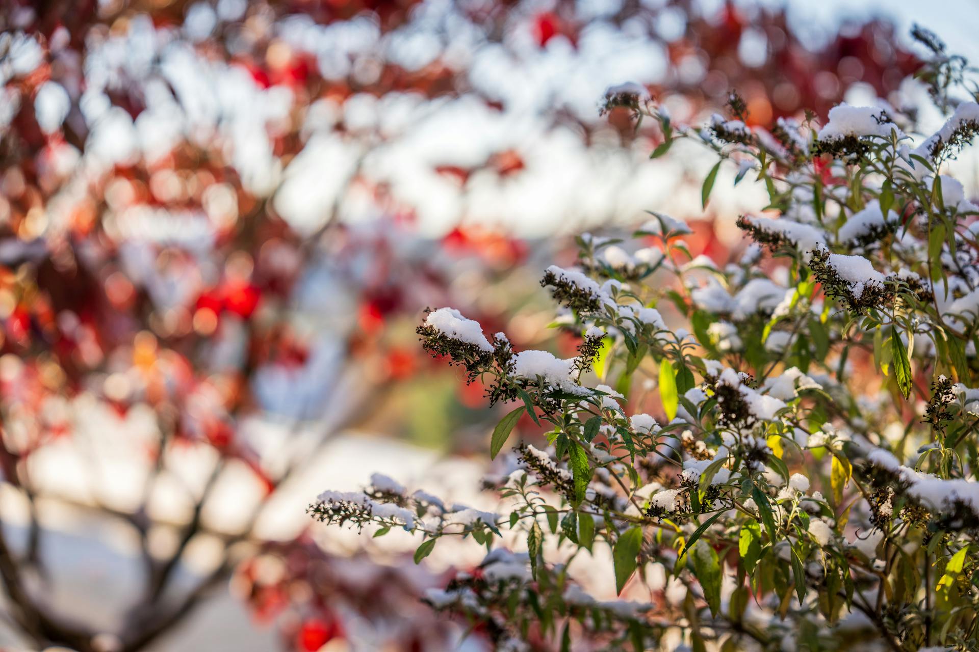 开源美图 2025 11 18