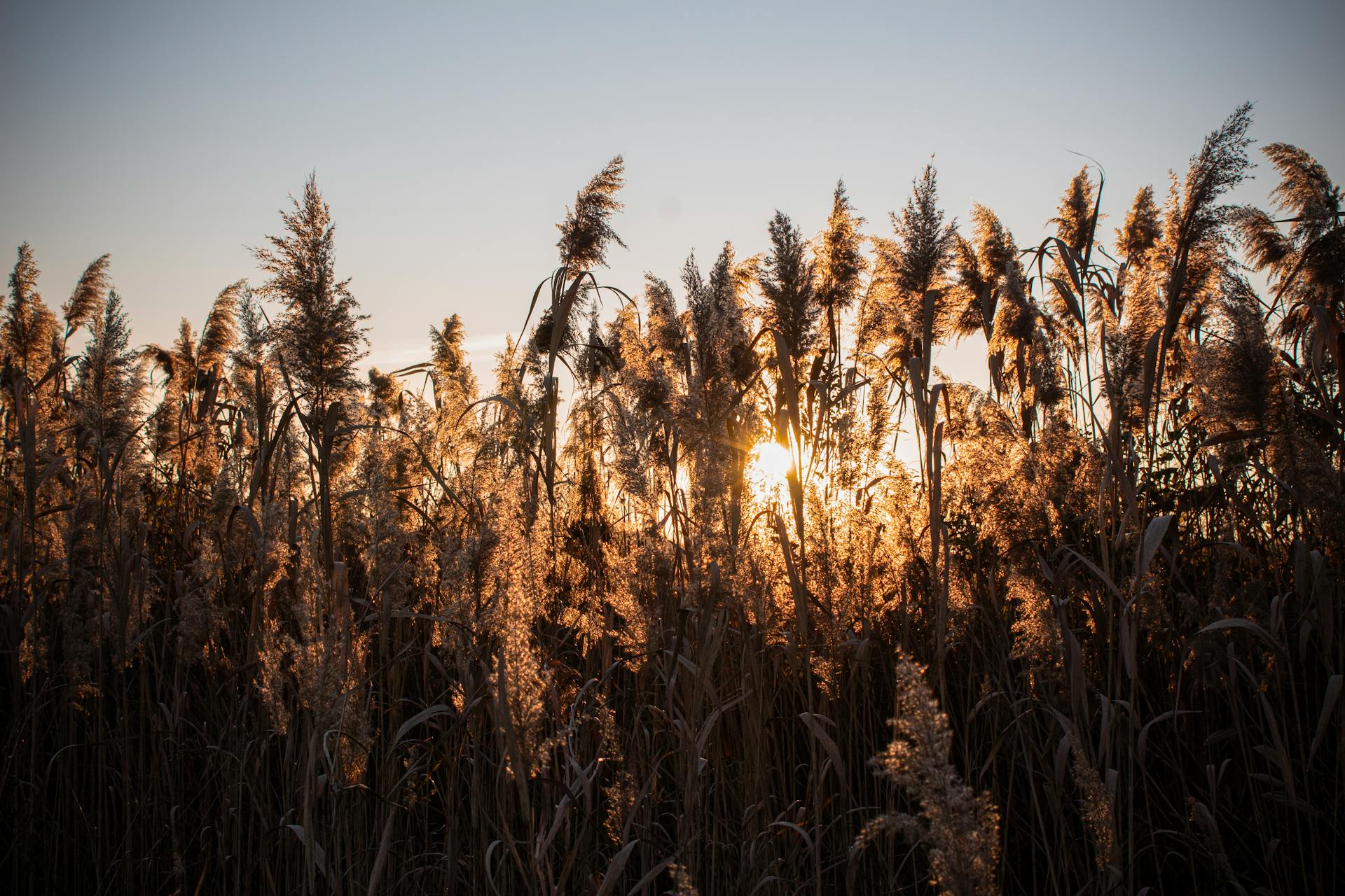 开源美图 2025 11 26