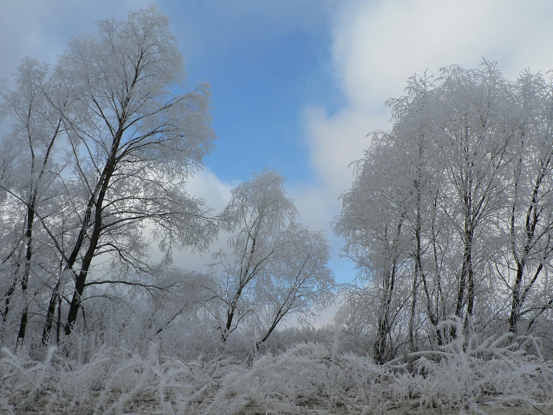开源美图 2025 11 24