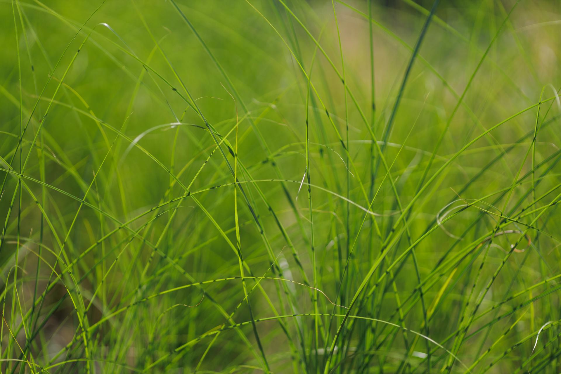 开源美图 2025 12 25